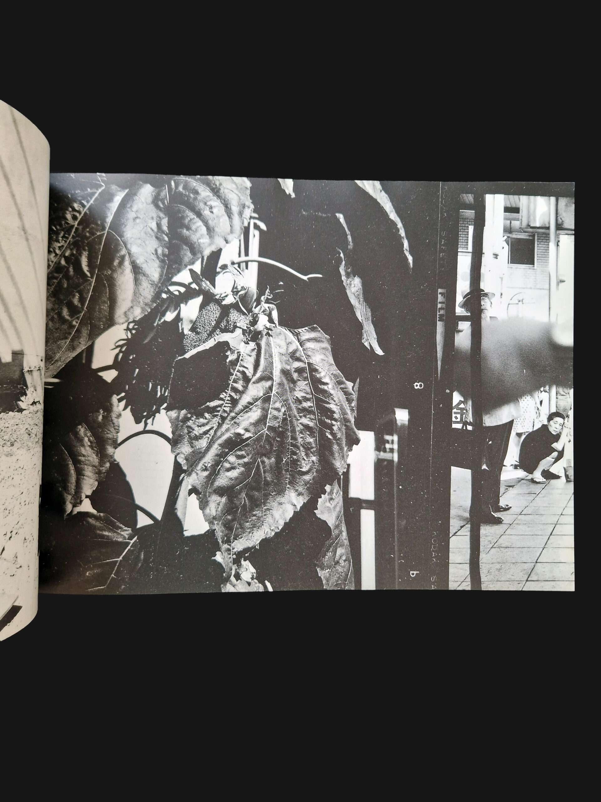 After the war (Shūsen go) Nobuyoshi Araki 8 After the war (Shūsen go) Nobuyoshi Araki 8