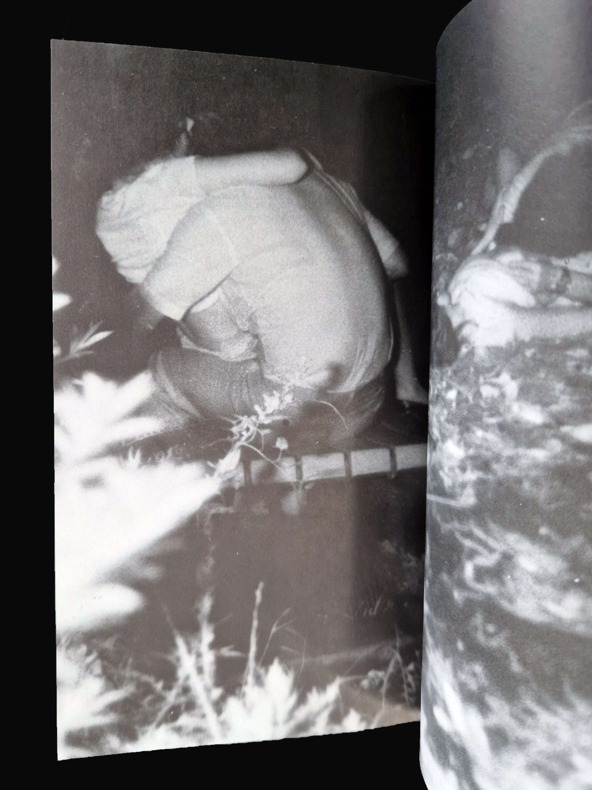 Kohibitotachi Excite camera 9