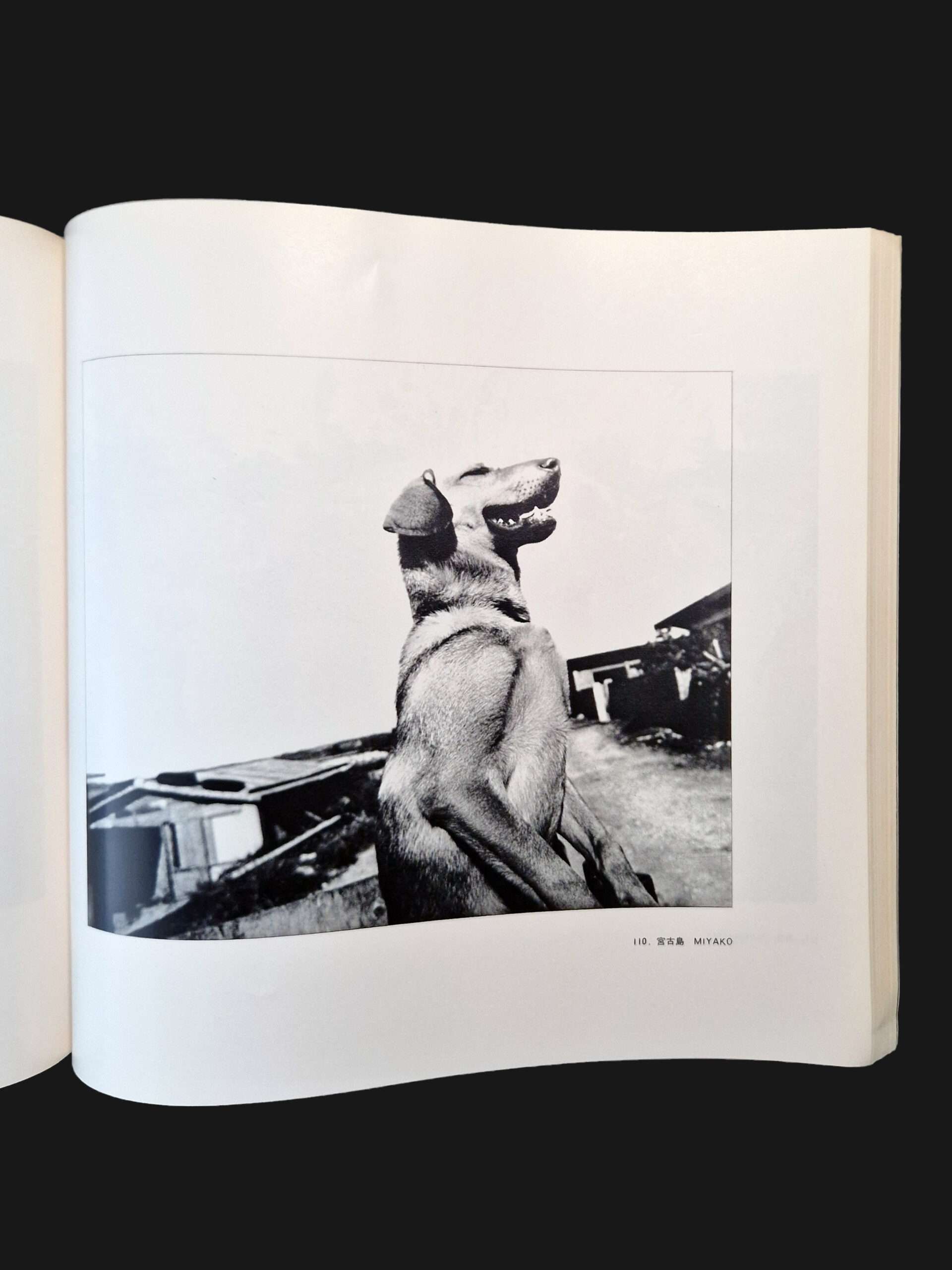 The Pencil of the Sun Shomei Tomatsu 25