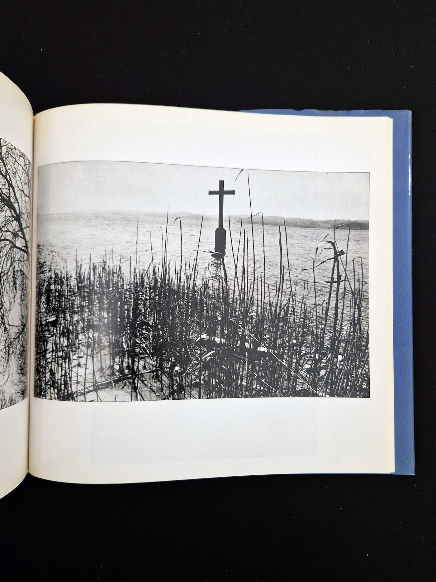 Cosmos of the dream king Kikuji Kawada 10