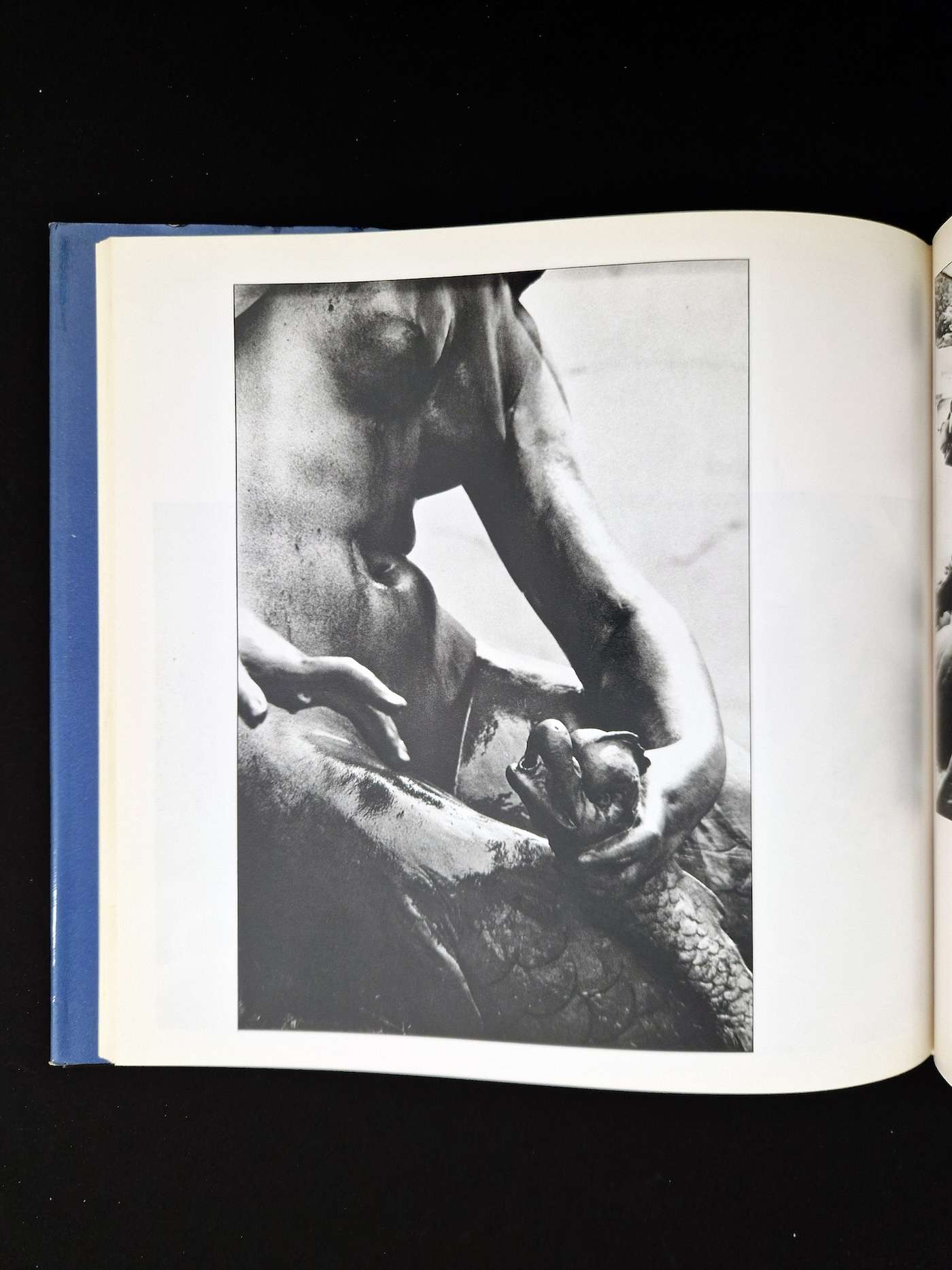 Cosmos of the dream king Kikuji Kawada 12