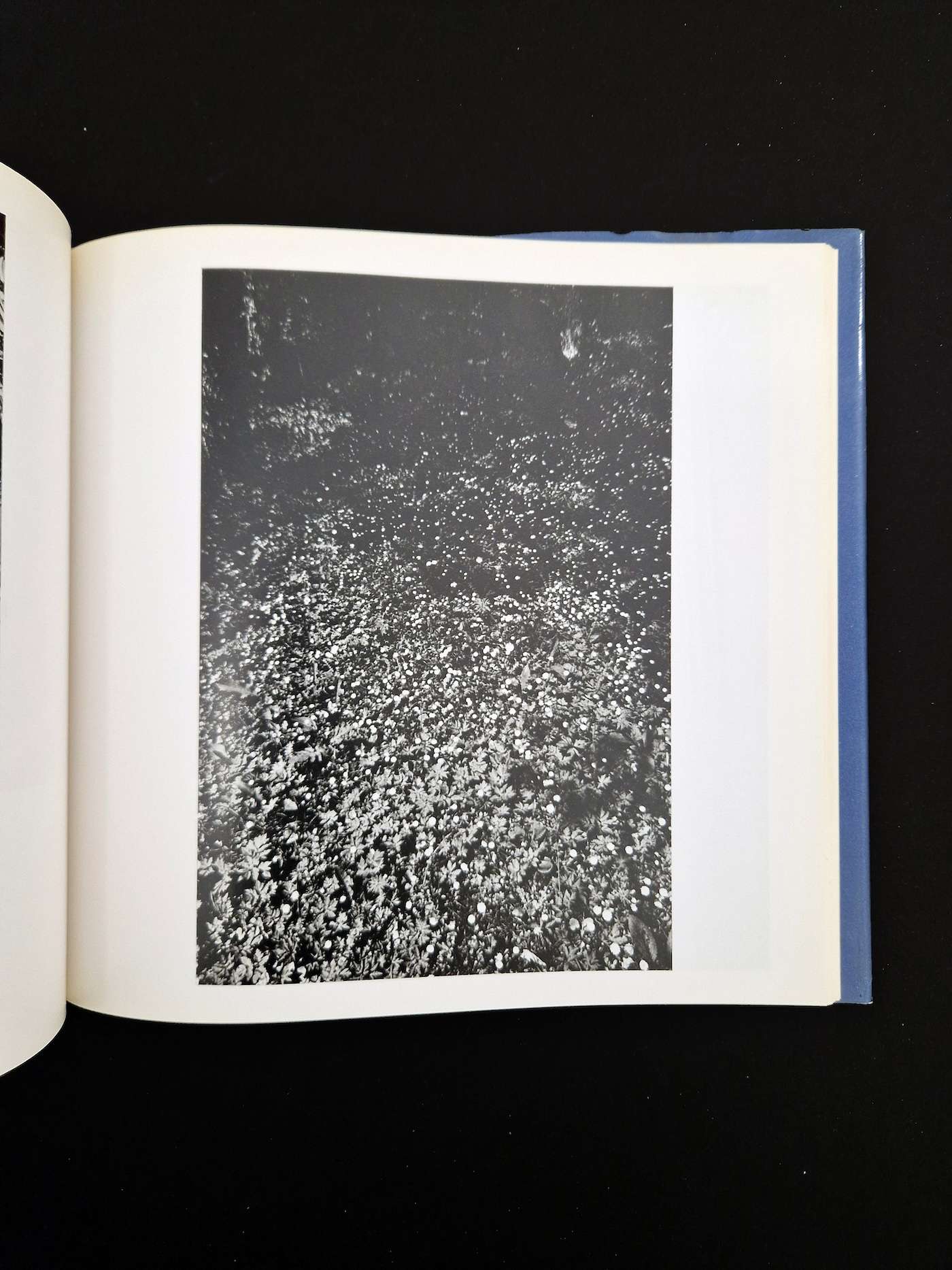 Cosmos of the dream king Kikuji Kawada 9