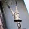 Genetically Manipurated Hajime Sorayama white 12 copie