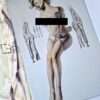 Genetically Manipurated Hajime Sorayama white 14 copie