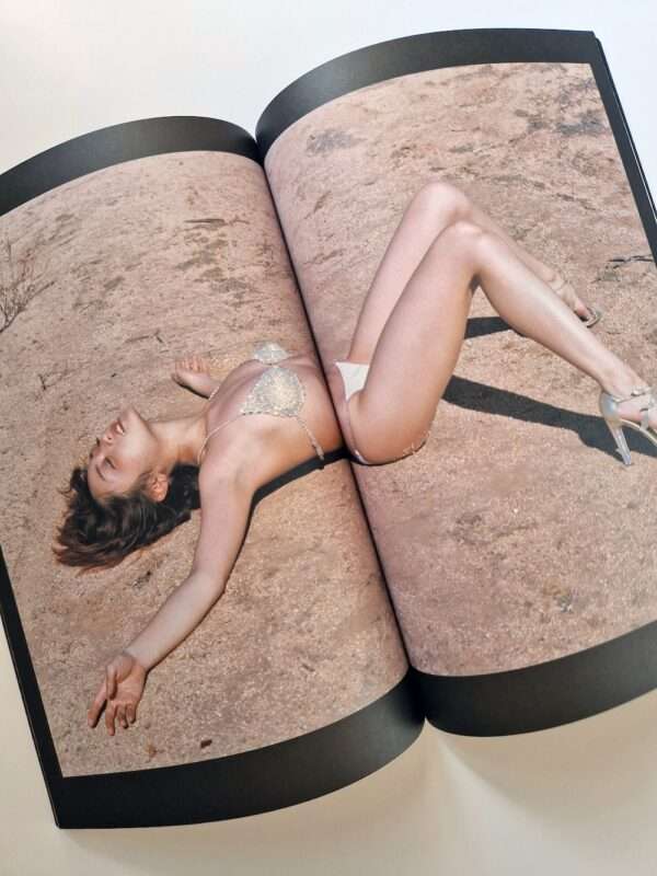 Monthly Series – Yumi Adachi M. Fujishiro 12