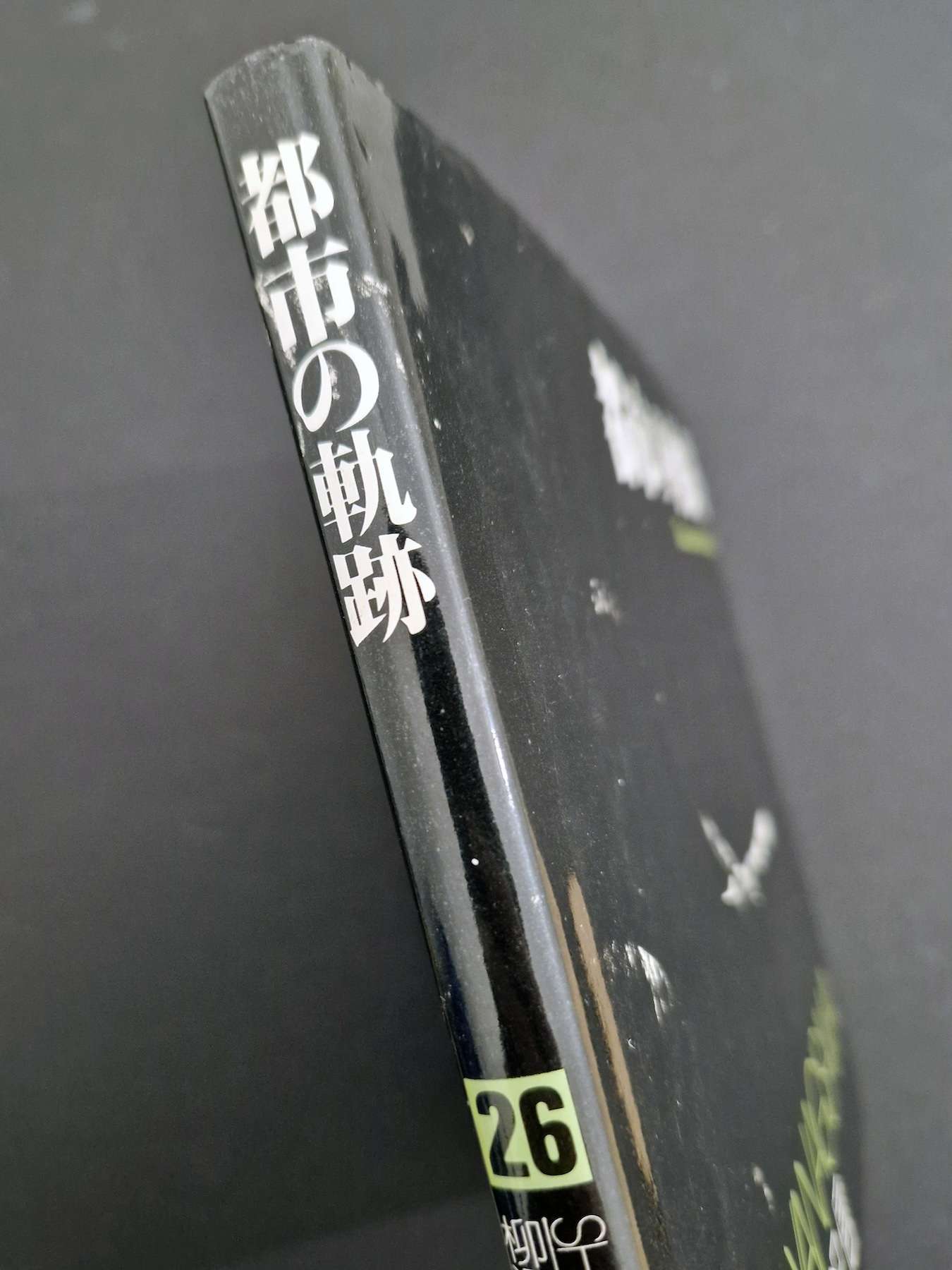 Tracks of the city Shin Yanagisawa 29 Tracks of the city Shin Yanagisawa 29