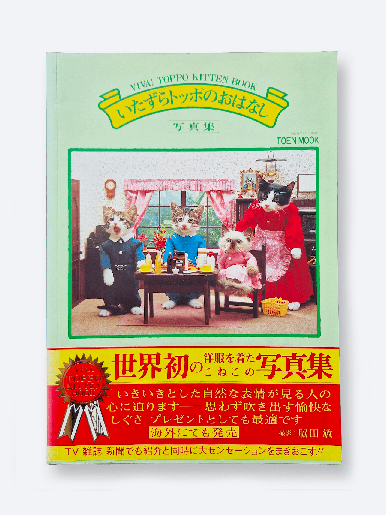 Viva! Toppo kitten book Toshi Wakita cover2