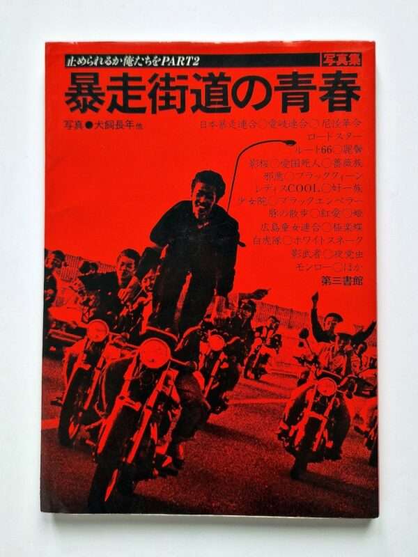 Youth on the Runaway Highway. Part 2 cover