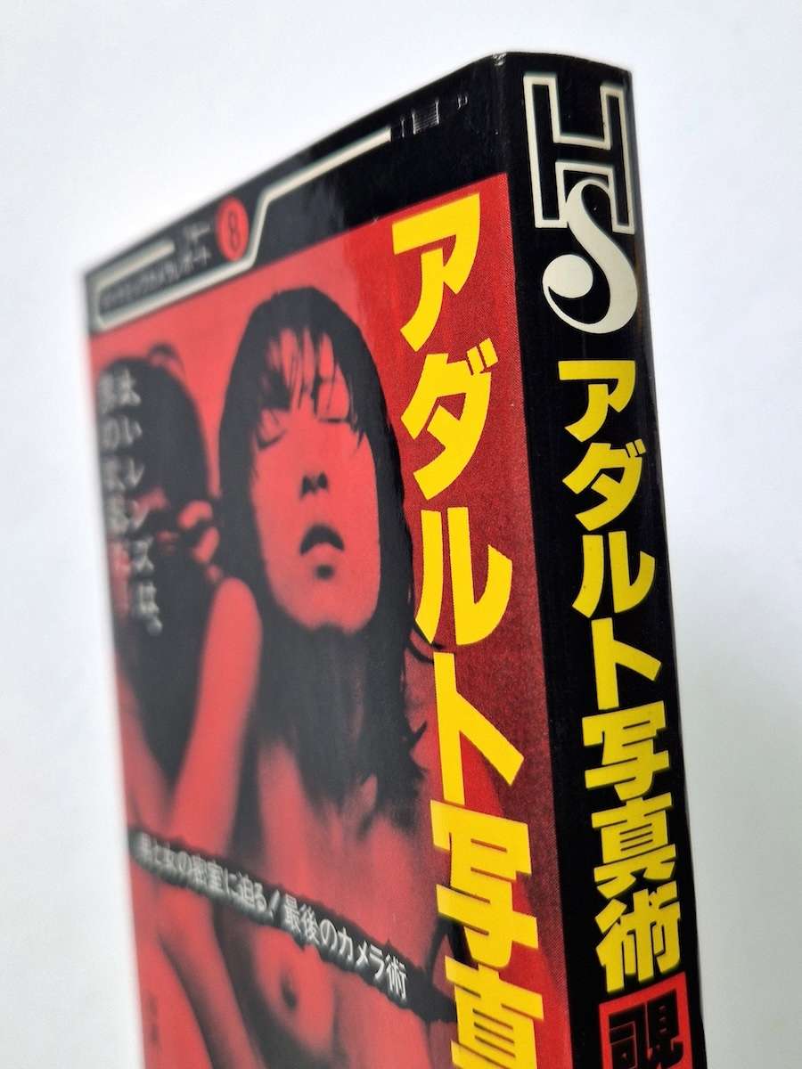 Adult Photography – Peeping Part IV whinte bind