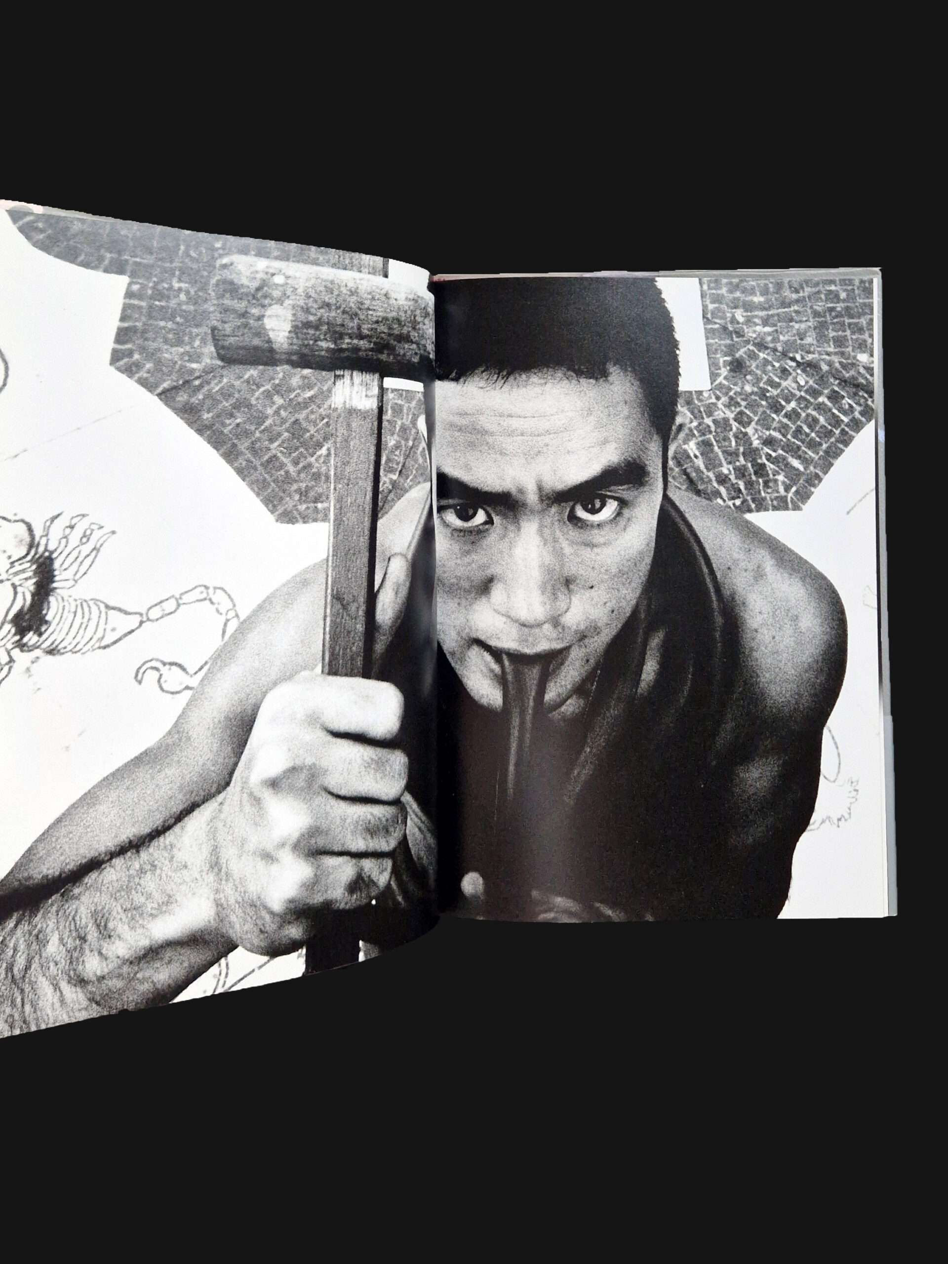 Barakei (Ordeal by Roses) – Eikoh Hosoe 12