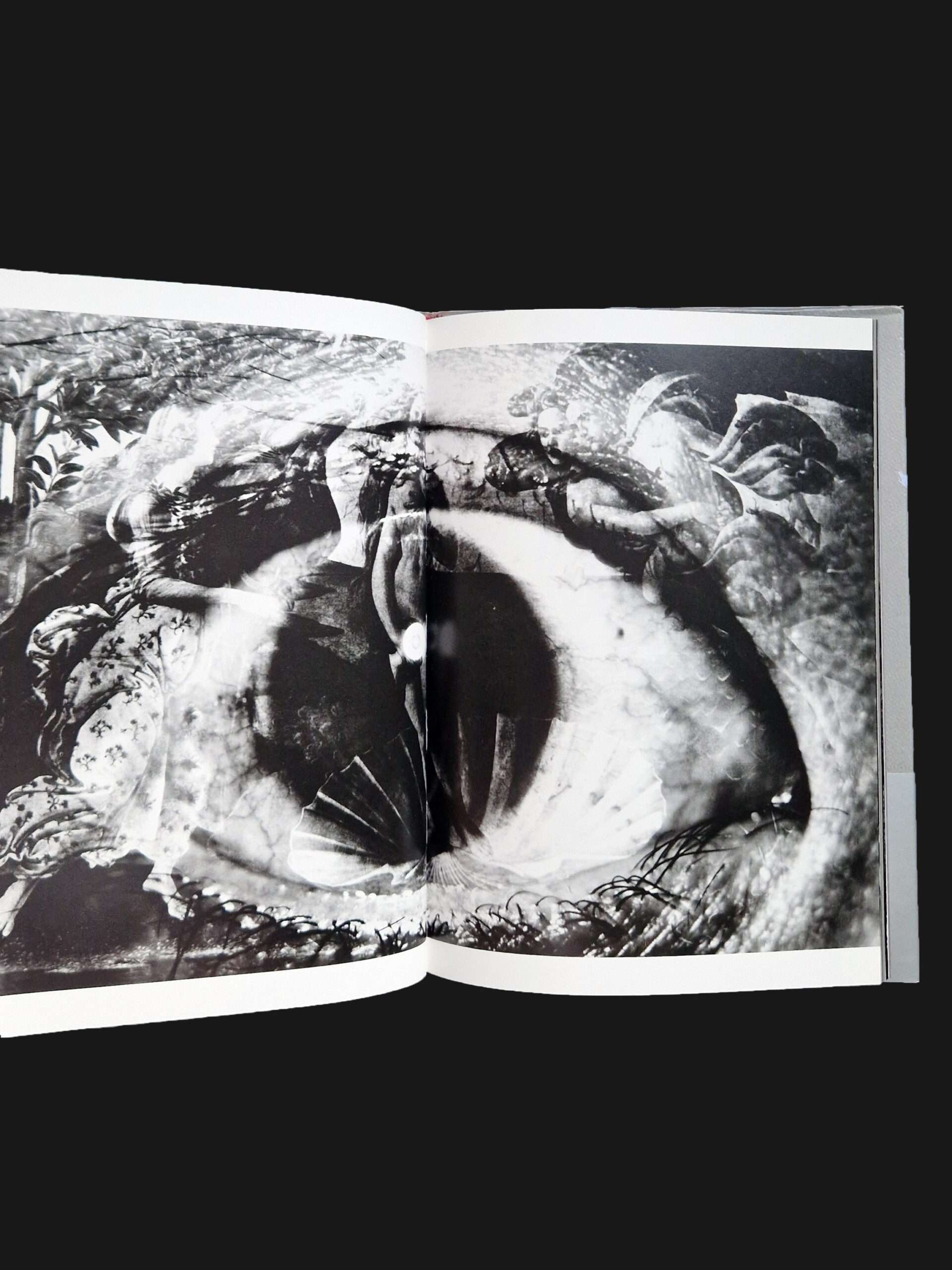 Barakei (Ordeal by Roses) – Eikoh Hosoe 20