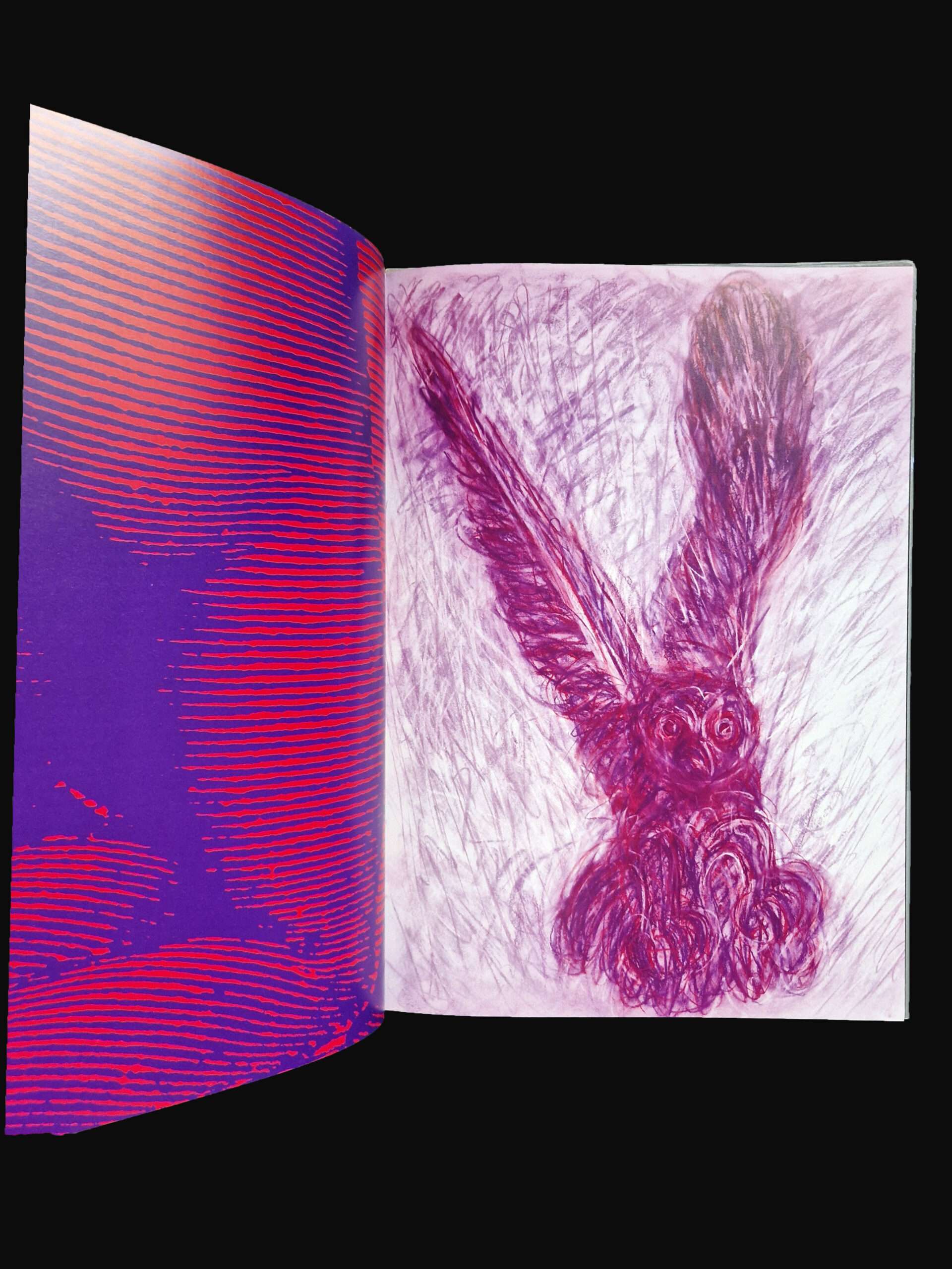 Barakei (Ordeal by Roses) – Eikoh Hosoe 8