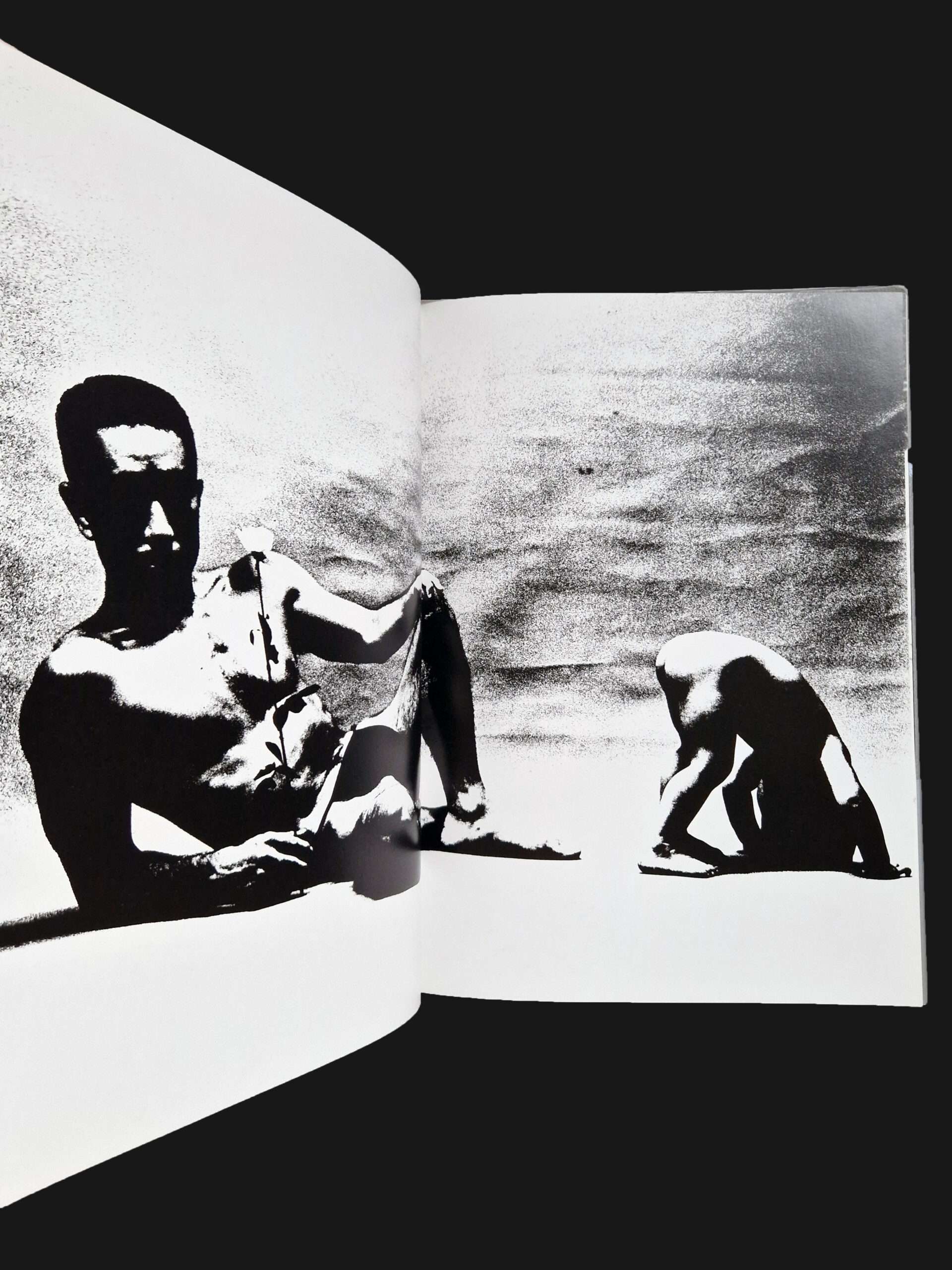 Barakei (Ordeal by Roses) – Eikoh Hosoe 9