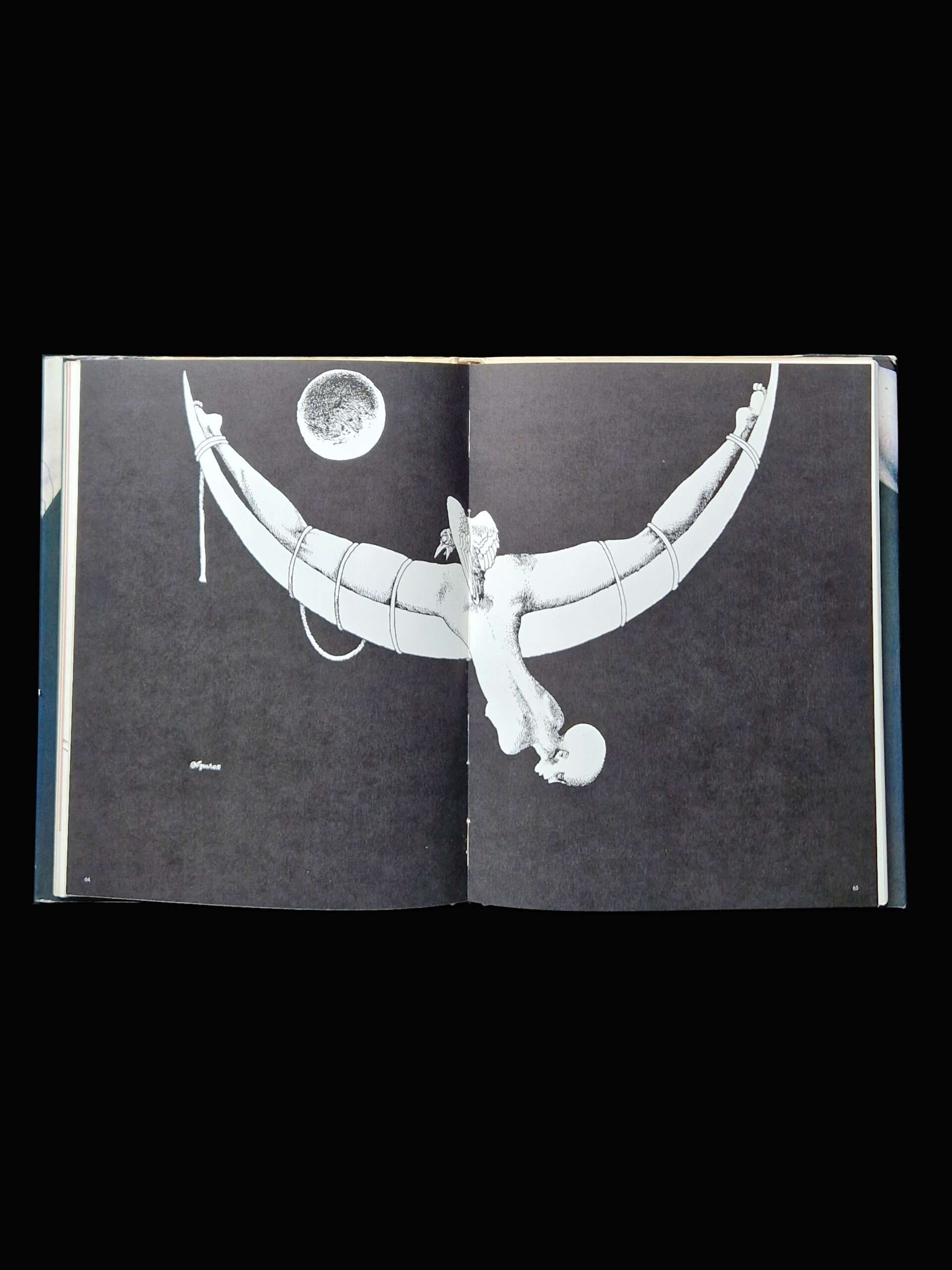 Illustration now Aquirax 10 Illustration now Aquirax 10