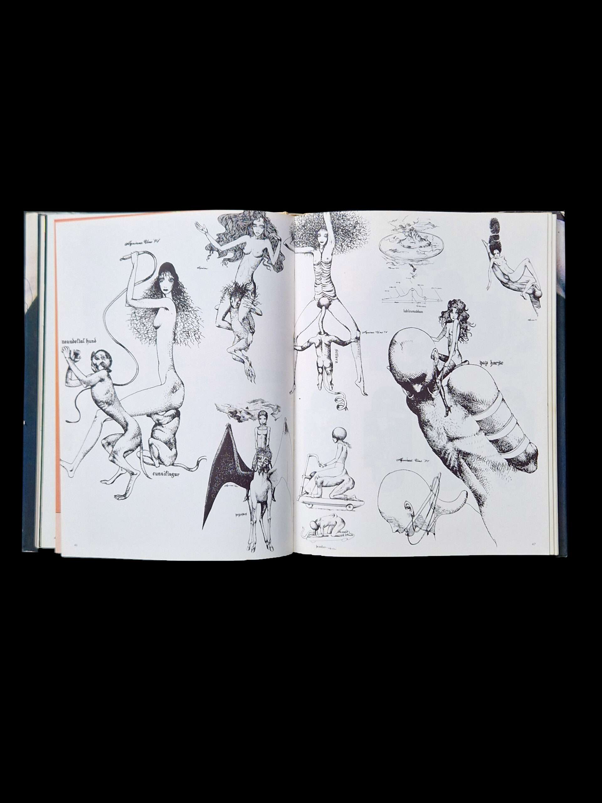 Illustration now Aquirax 13 Illustration now Aquirax 13