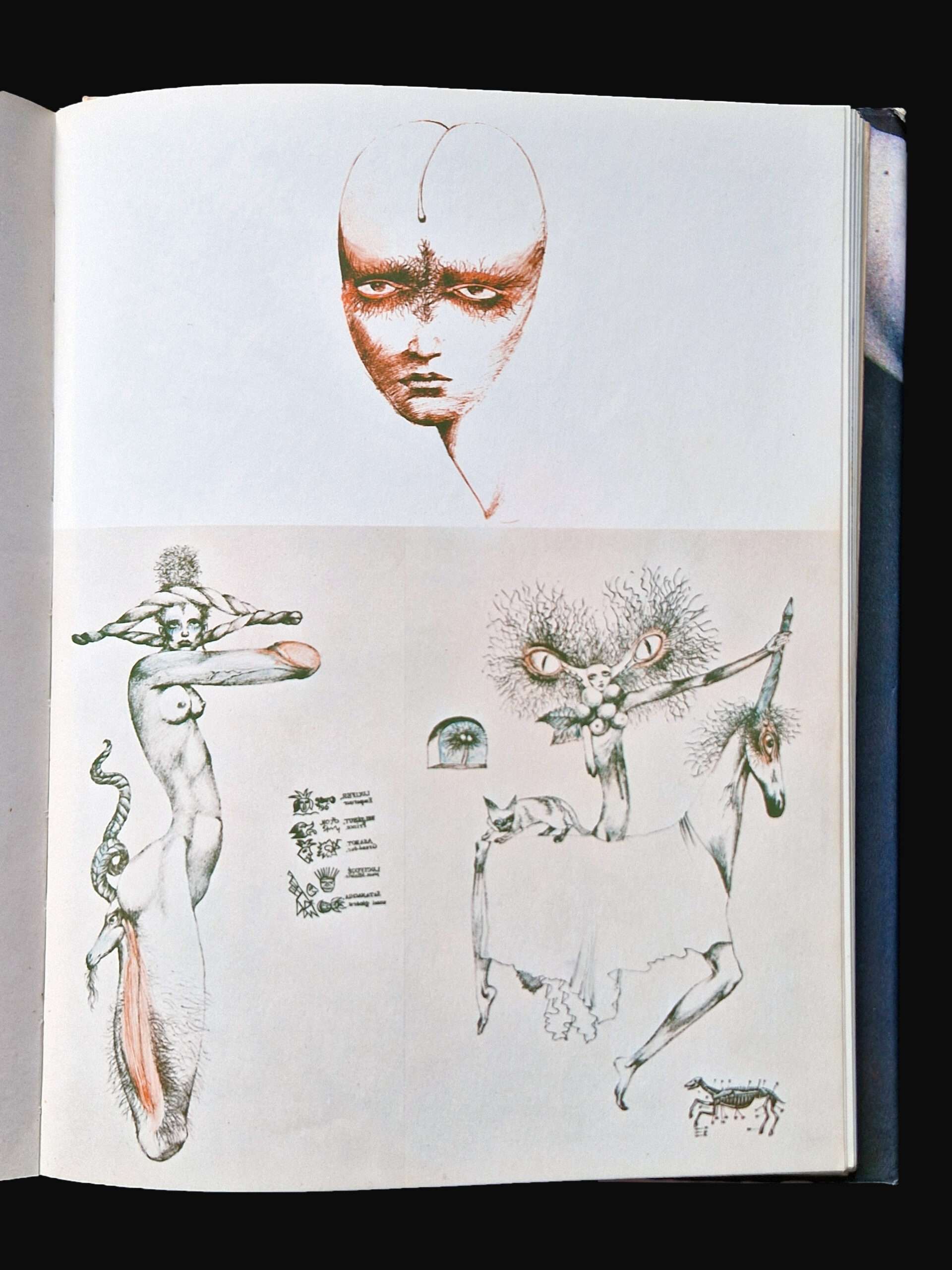 Illustration now Aquirax 4 Illustration now Aquirax 4