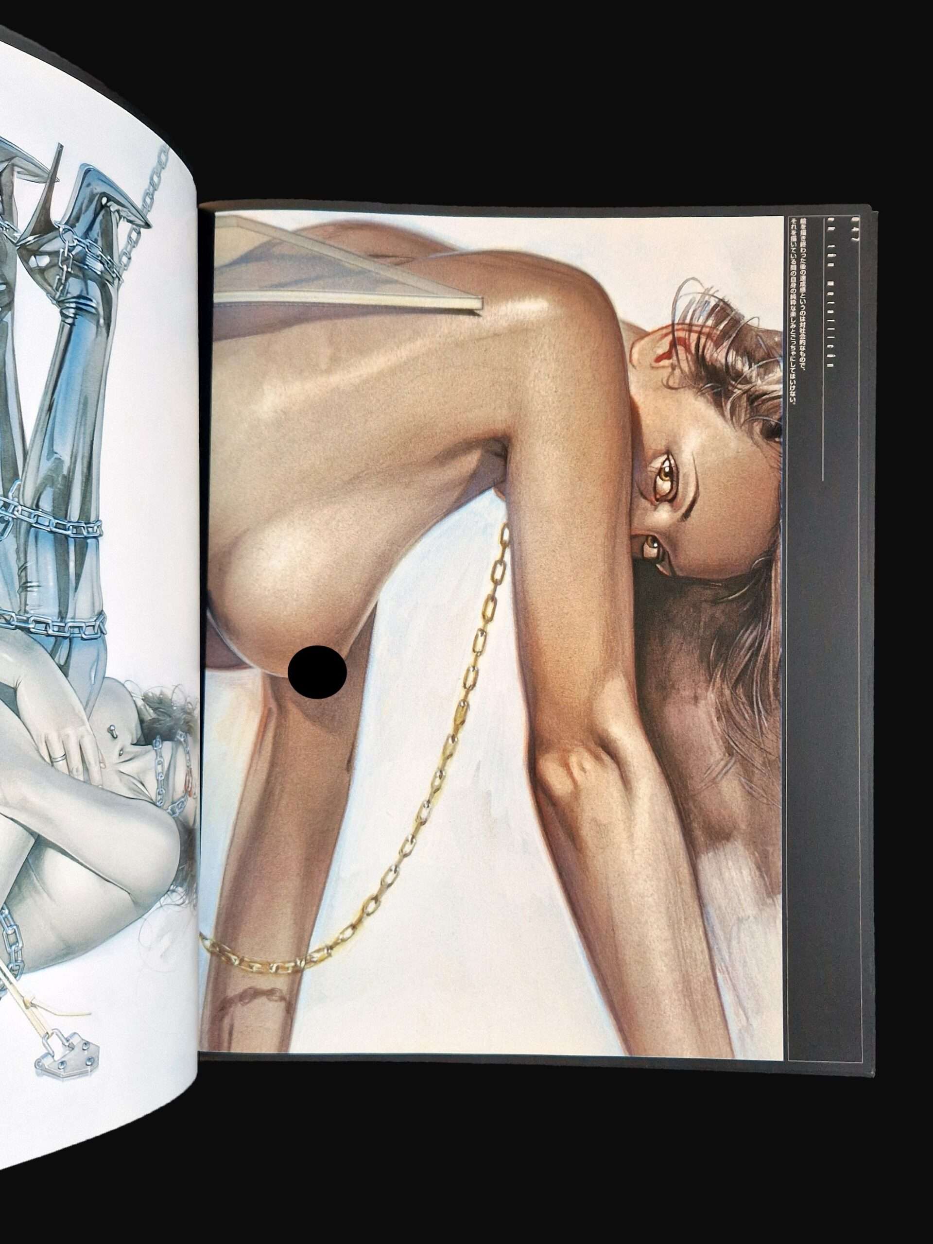 Metallicon Sorayama Censored 14 Metallicon Sorayama Censored 14