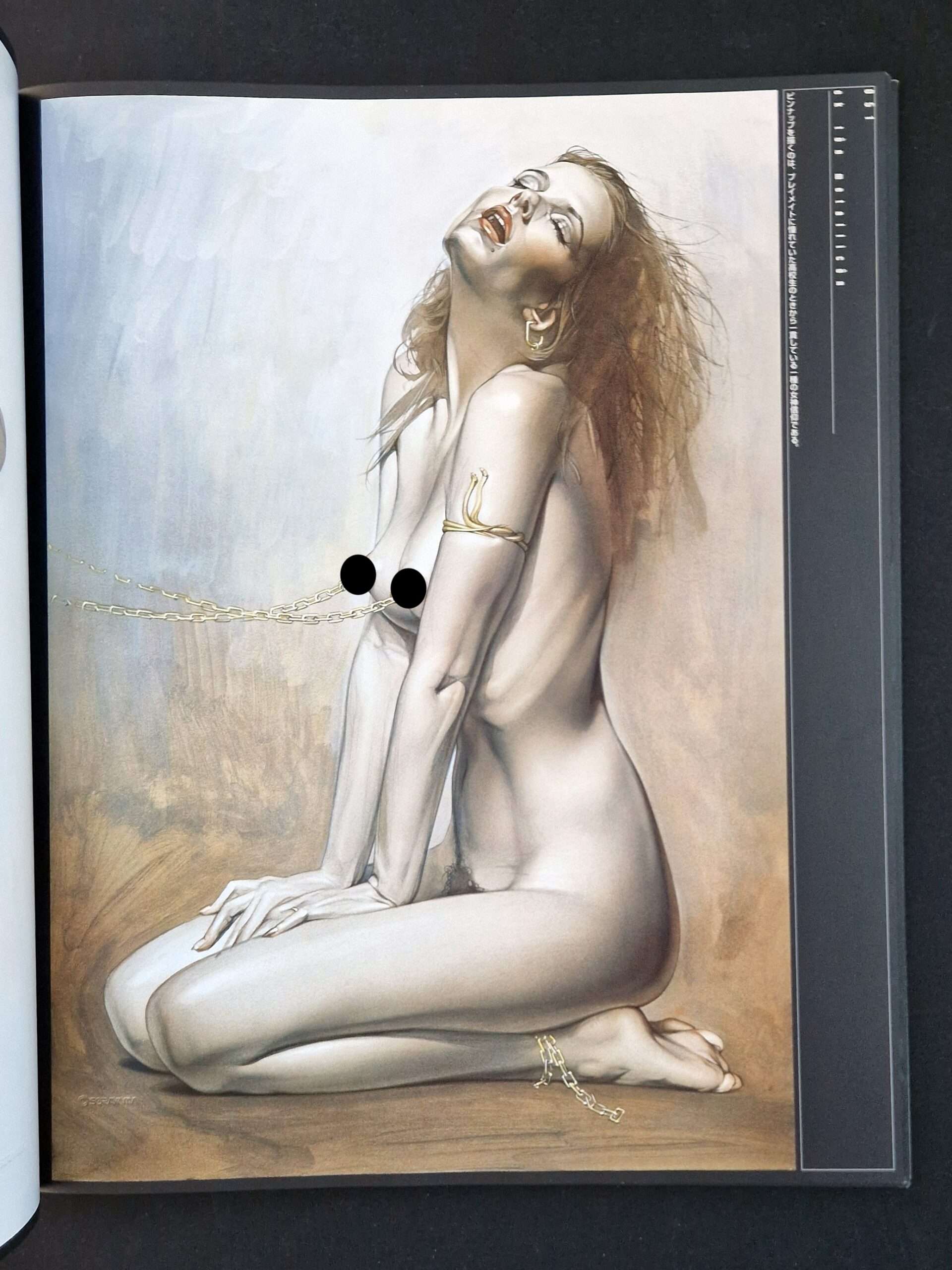 Metallicon Sorayama Censored 15 Metallicon Sorayama Censored 15