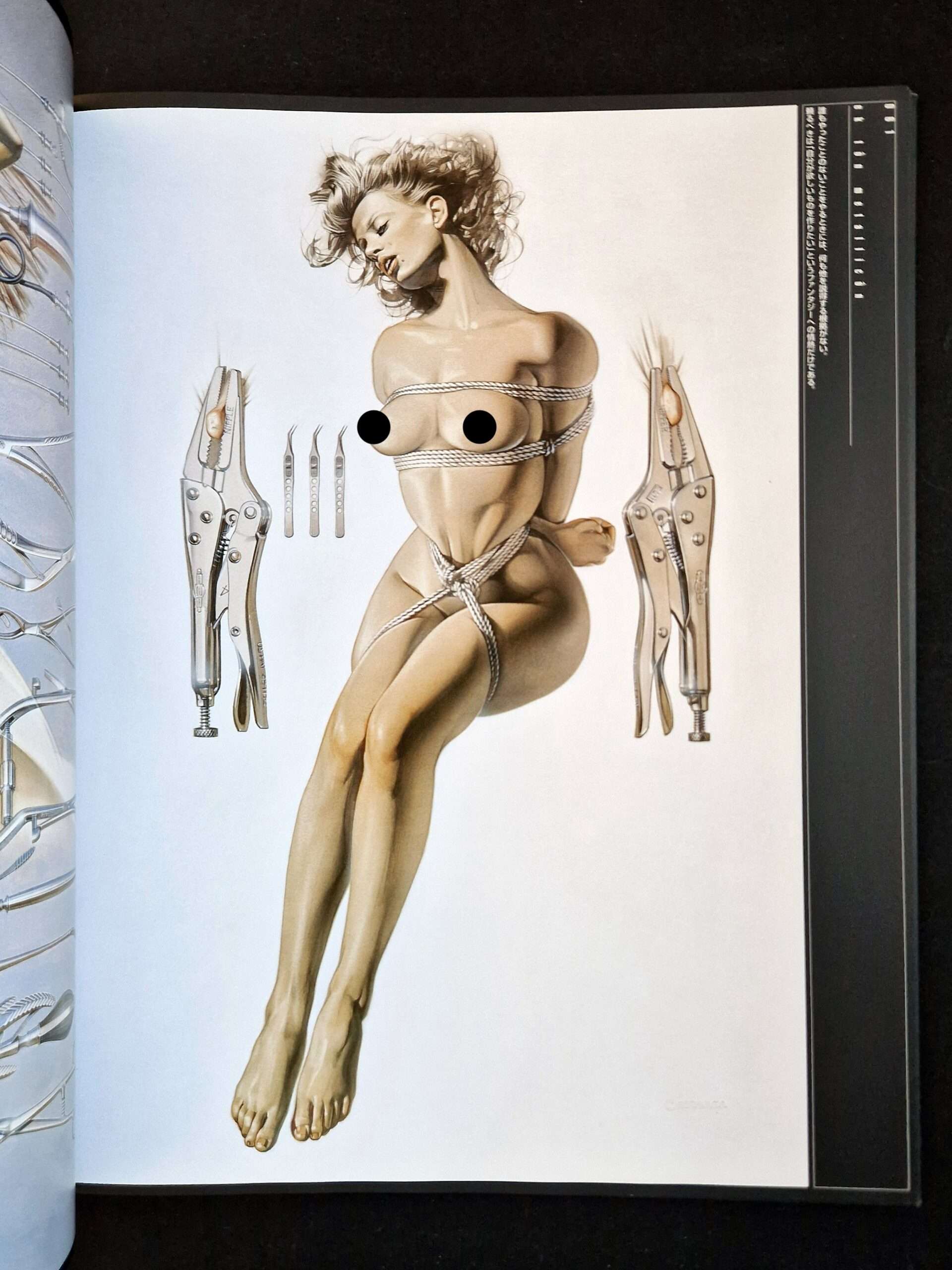 Metallicon Sorayama Censored 16 Metallicon Sorayama Censored 16