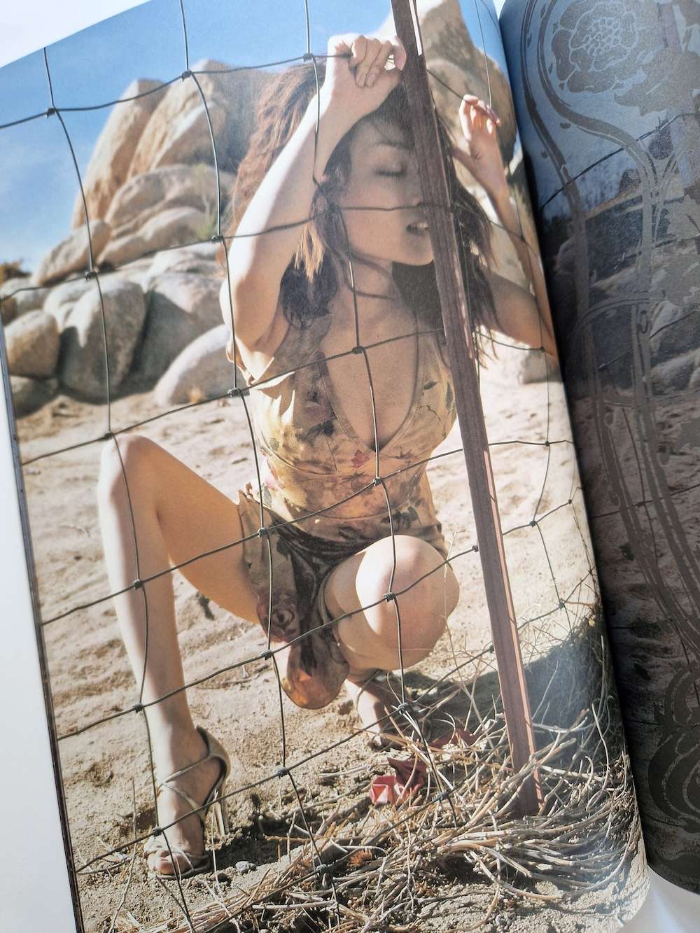 Monthly Series – Yumi Adachi M. Fujishiro 11 Monthly Series – Yumi Adachi M. Fujishiro 11