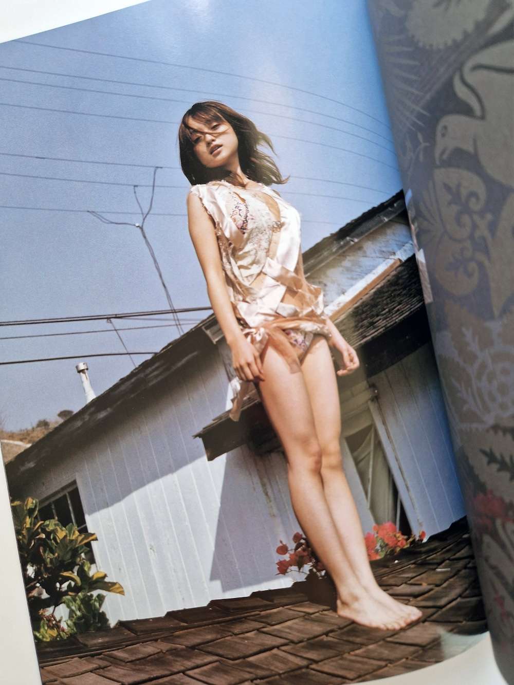 Monthly Series – Yumi Adachi M. Fujishiro 15 Monthly Series – Yumi Adachi M. Fujishiro 15