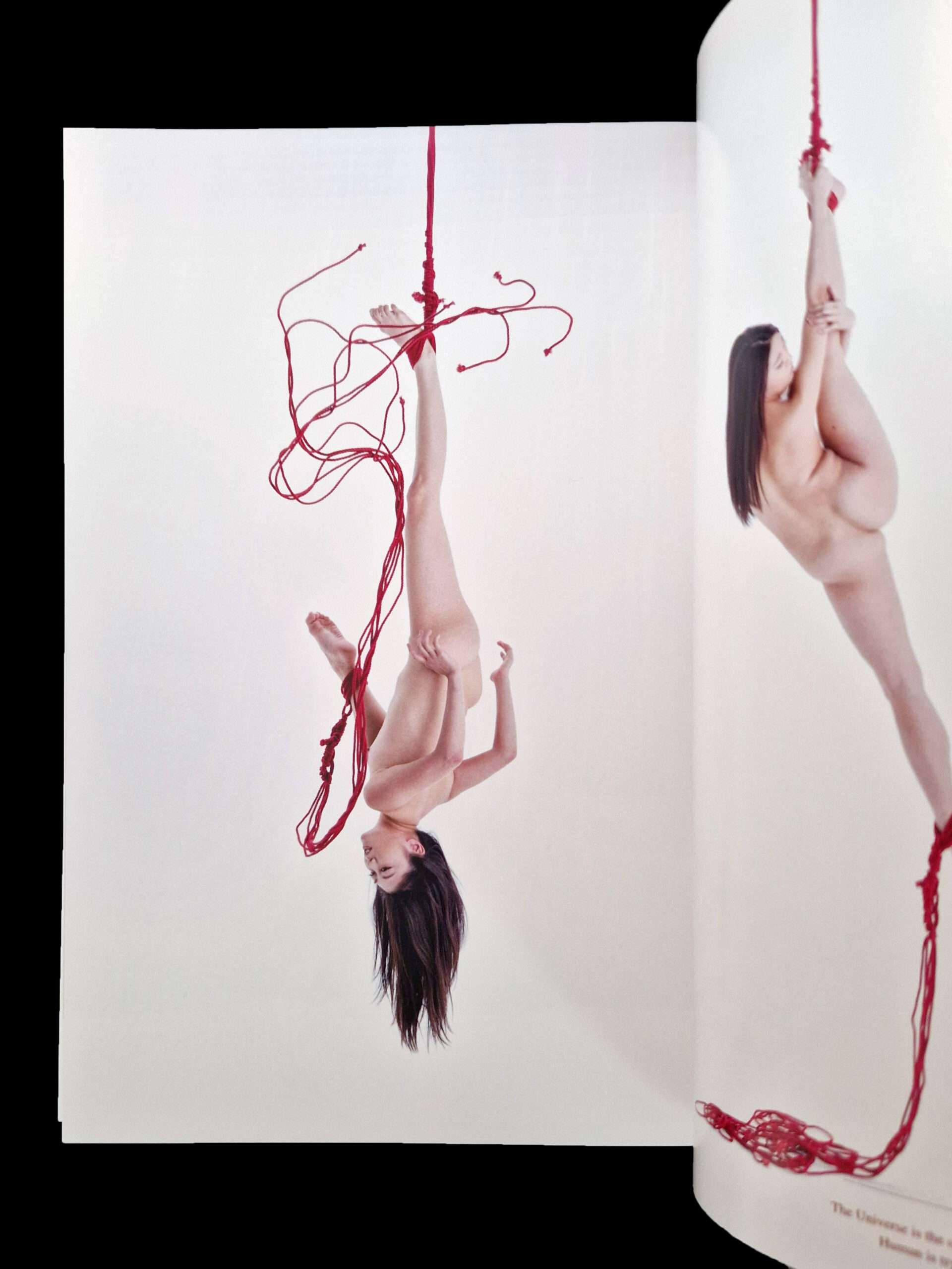 Red Hajime Kinoko 5 Red Hajime Kinoko 5