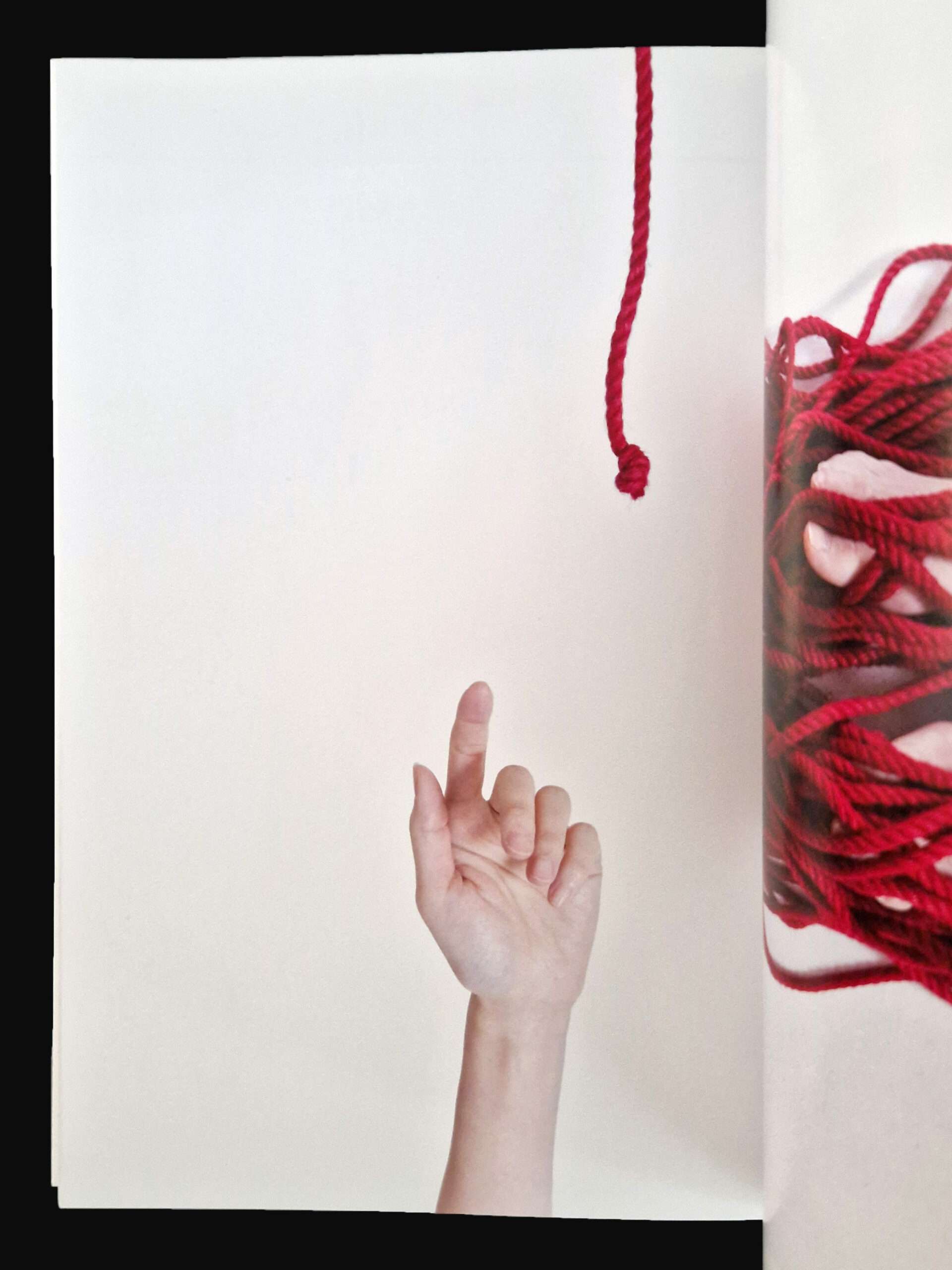 Red Hajime Kinoko 8 Red Hajime Kinoko 8