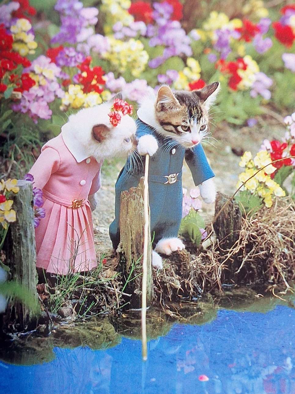 Viva! Toppo kitten book Toshi Wakita 15