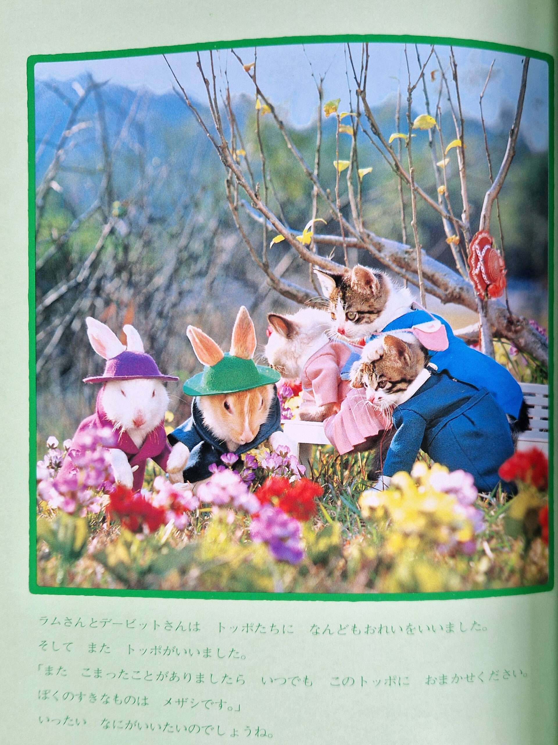 Viva! Toppo kitten book Toshi Wakita 16