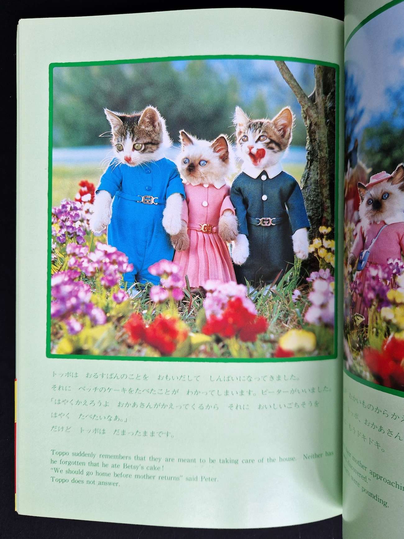 Viva! Toppo kitten book Toshi Wakita 17