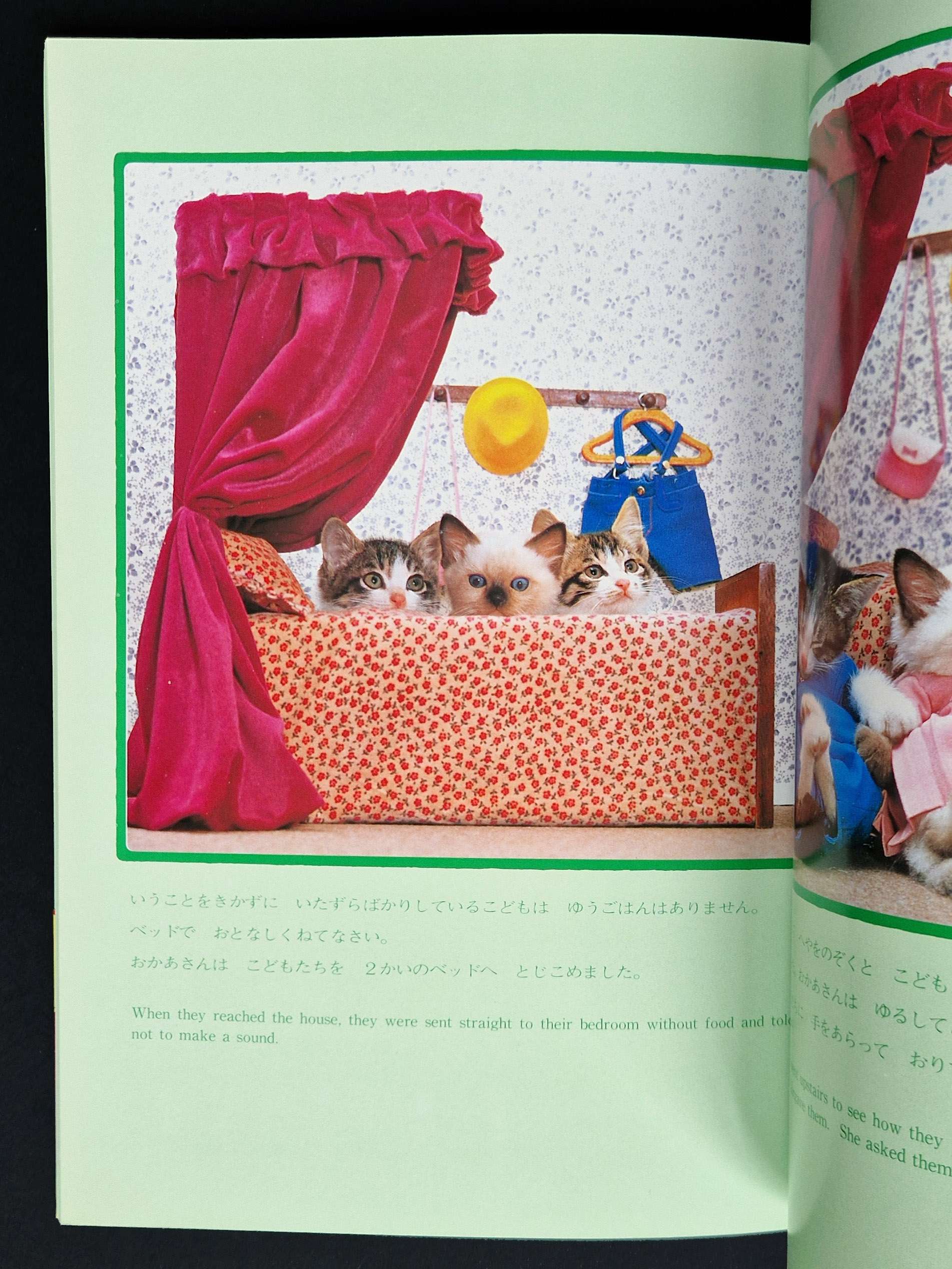 Viva! Toppo kitten book Toshi Wakita 18