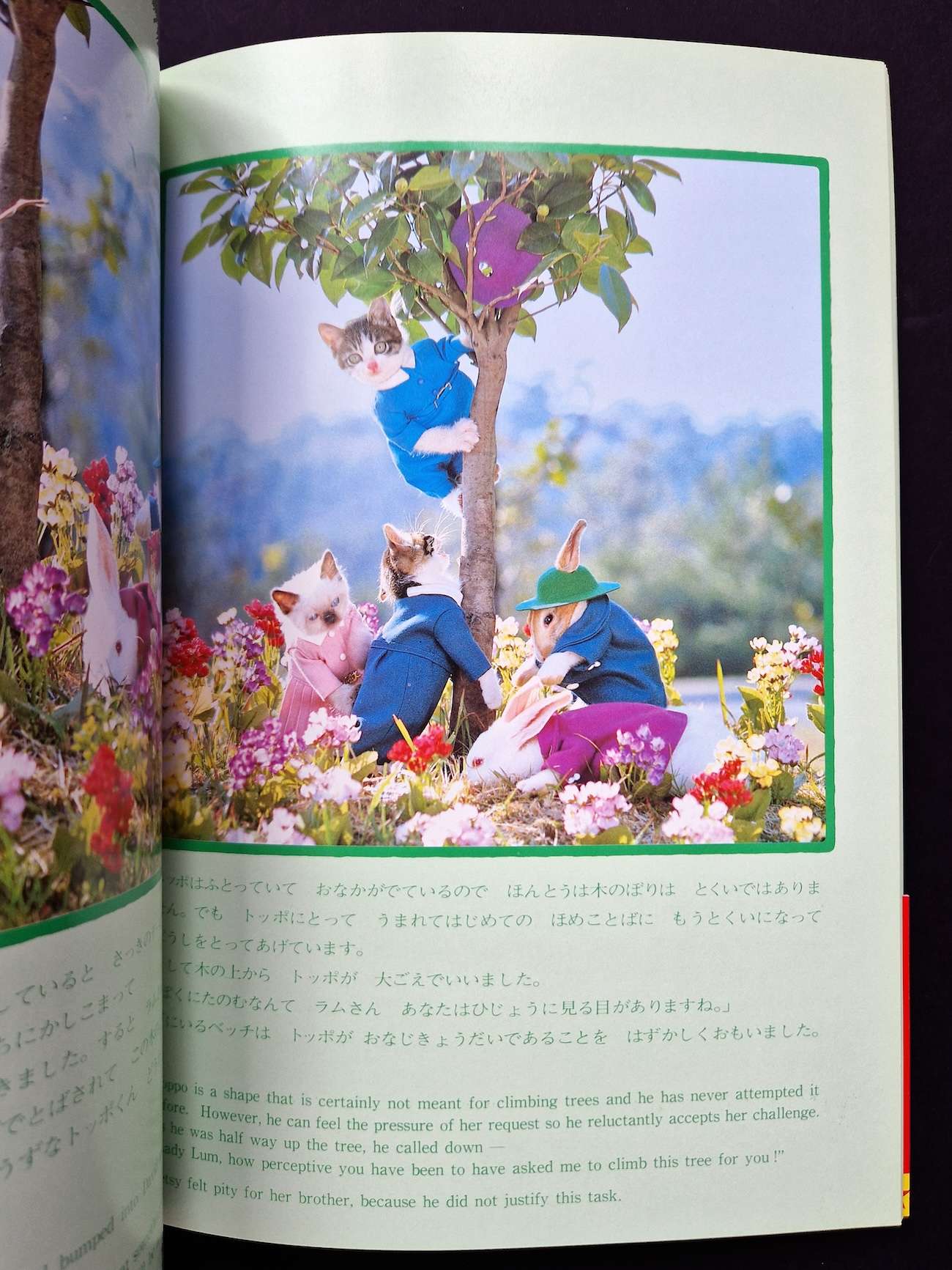 Viva! Toppo kitten book Toshi Wakita 5