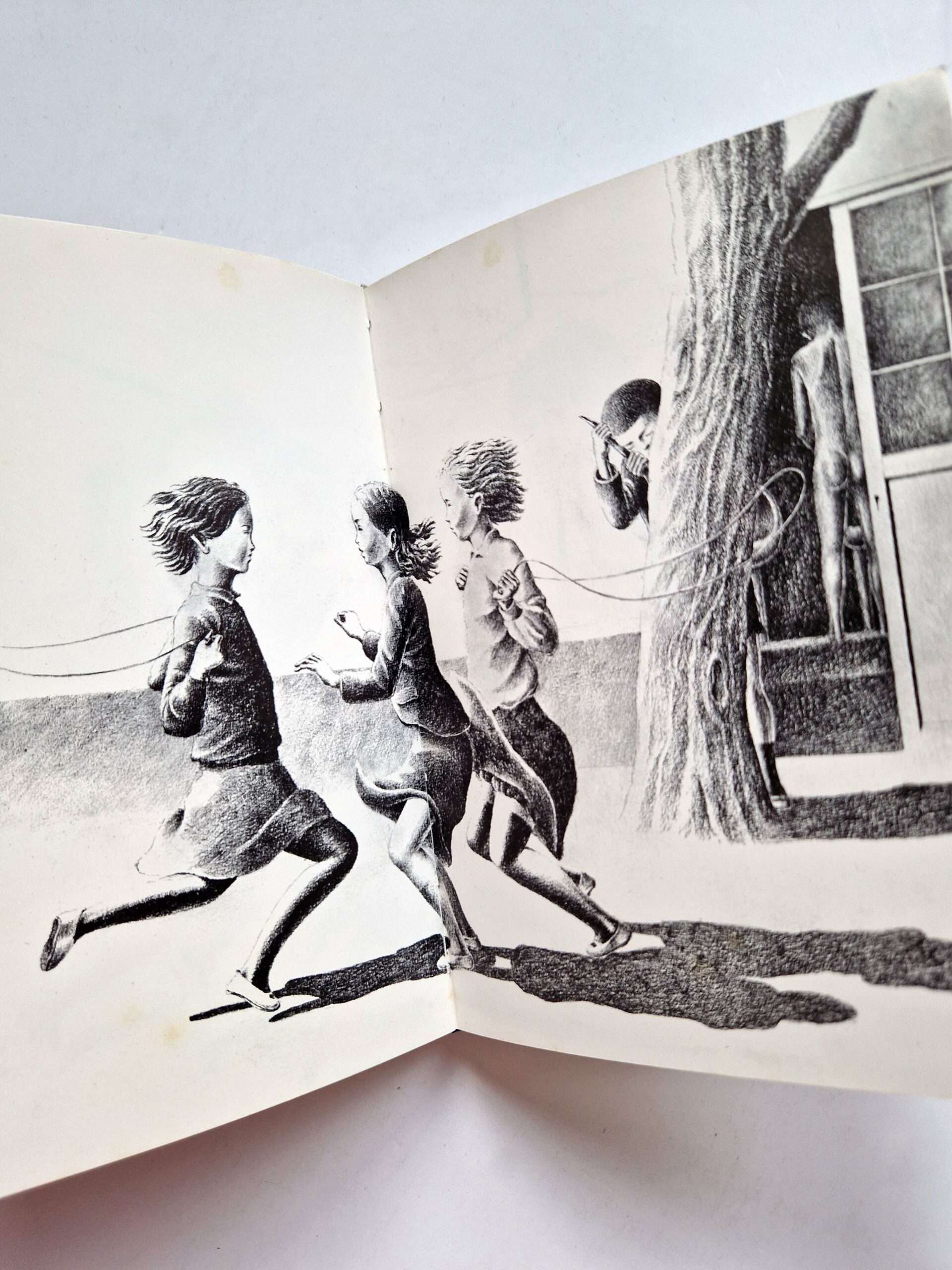 Beautiful days [signed] Ken Katayama Signed Restock 11