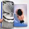 Bodyscapes Nobuyoshi Araki 9