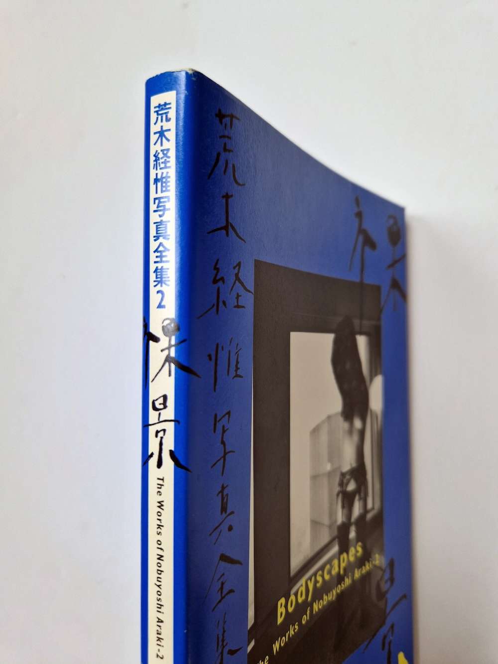 Bodyscapes Nobuyoshi Araki bind restock