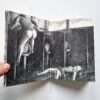 Beautiful days Ken Katayama 11