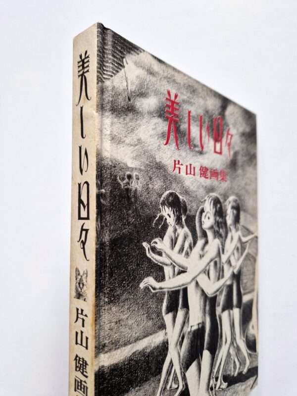 Beautiful days Ken Katayama bind book