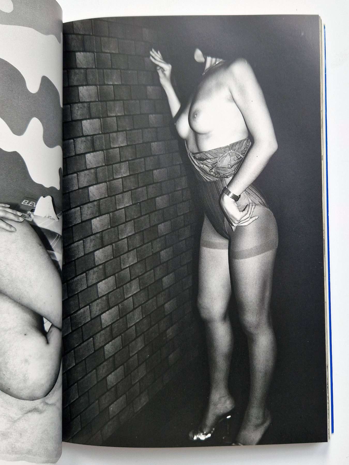 Bodyscapes Nobuyoshi Araki 11