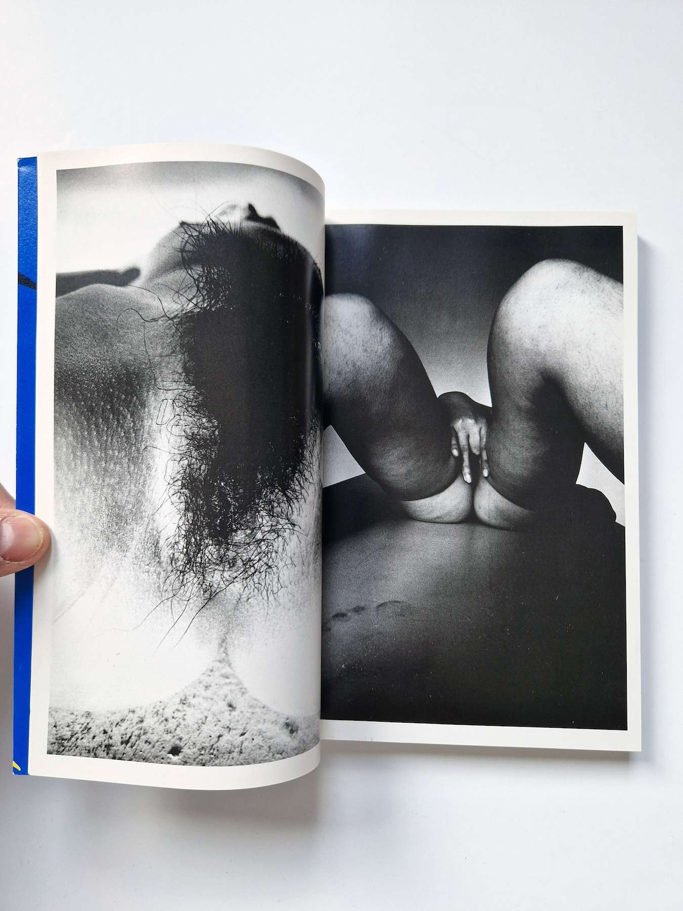 Bodyscapes Nobuyoshi Araki 3