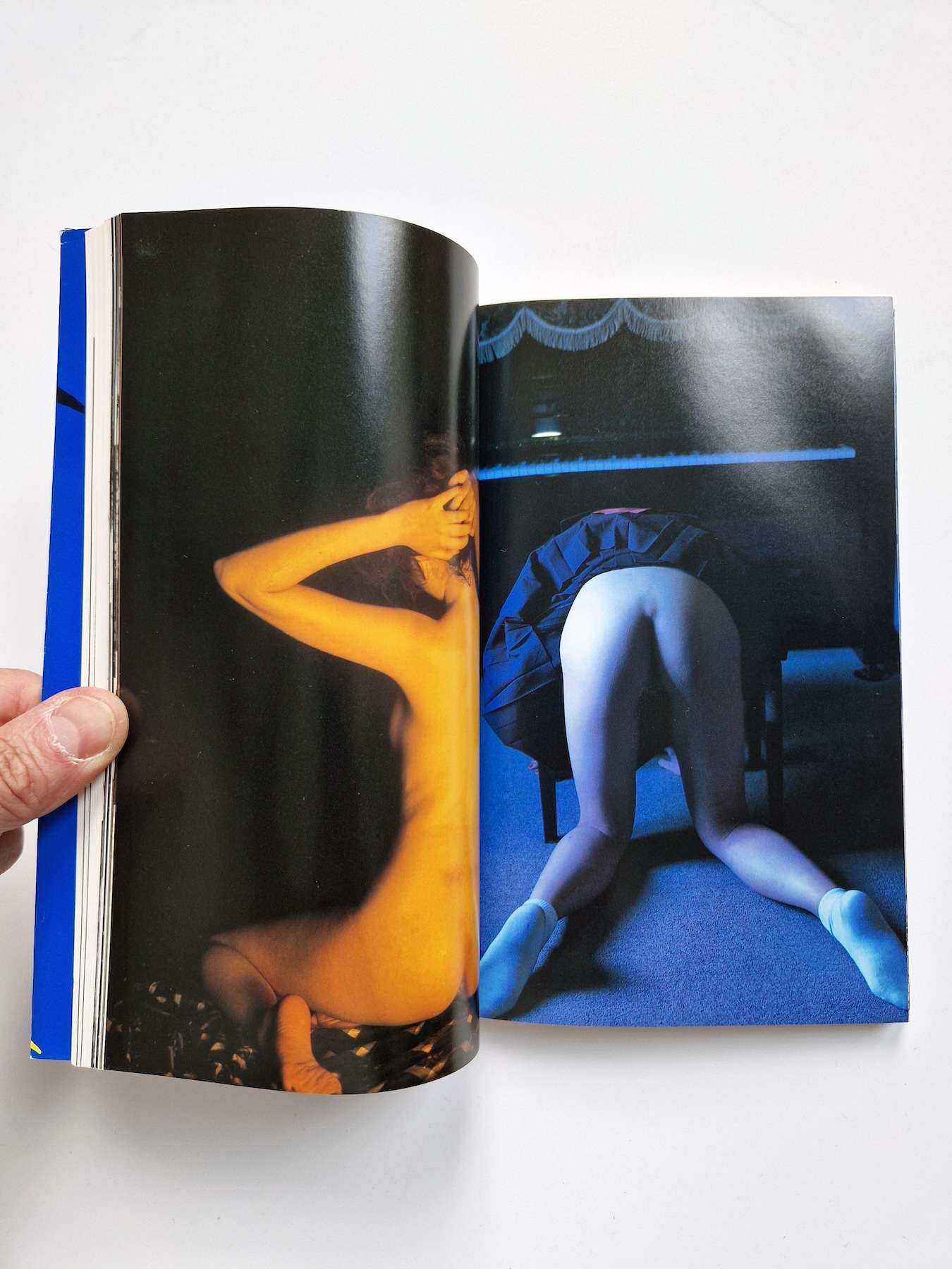Bodyscapes Nobuyoshi Araki 7