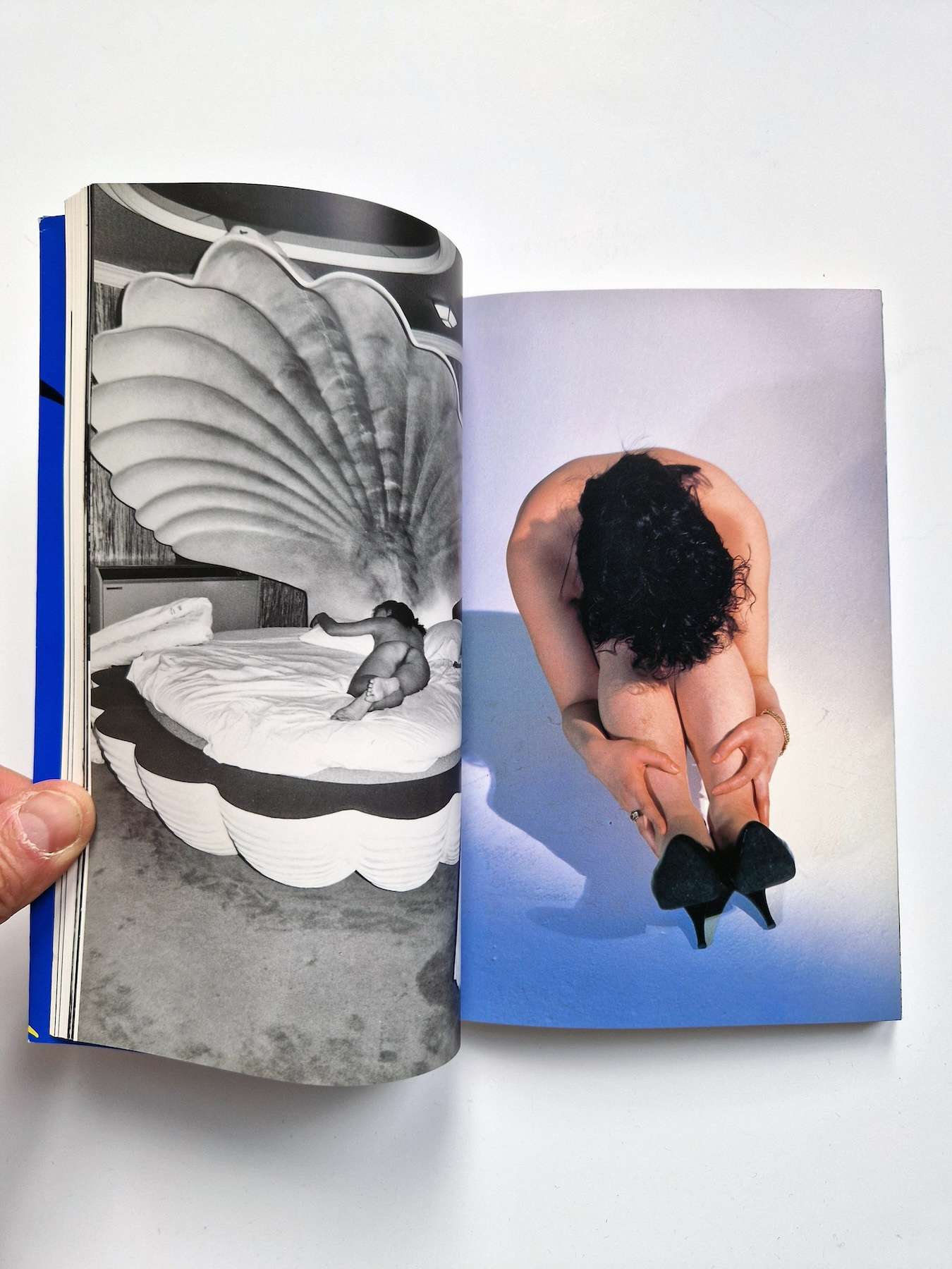 Bodyscapes Nobuyoshi Araki 9