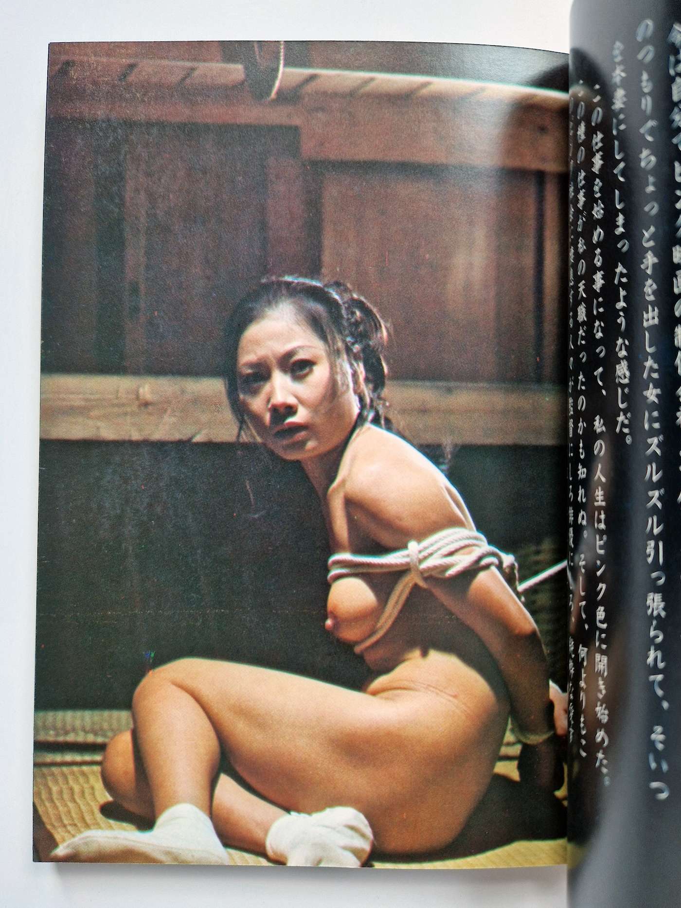 Dan Oniroku SM movie works II 5