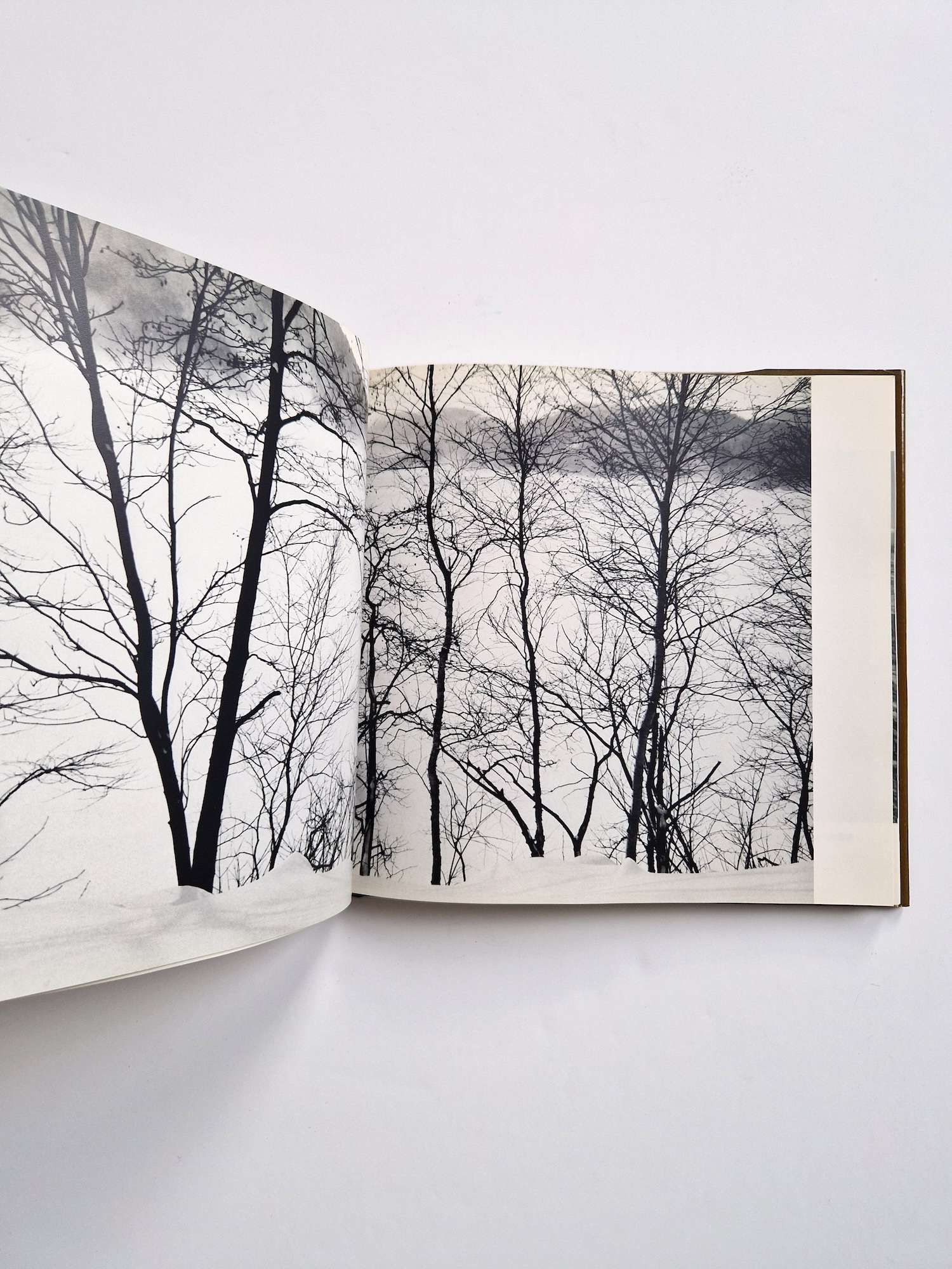 Scenic beauty of Japan Yoichi Midorikawa 14 Scenic beauty of Japan Yoichi Midorikawa 14