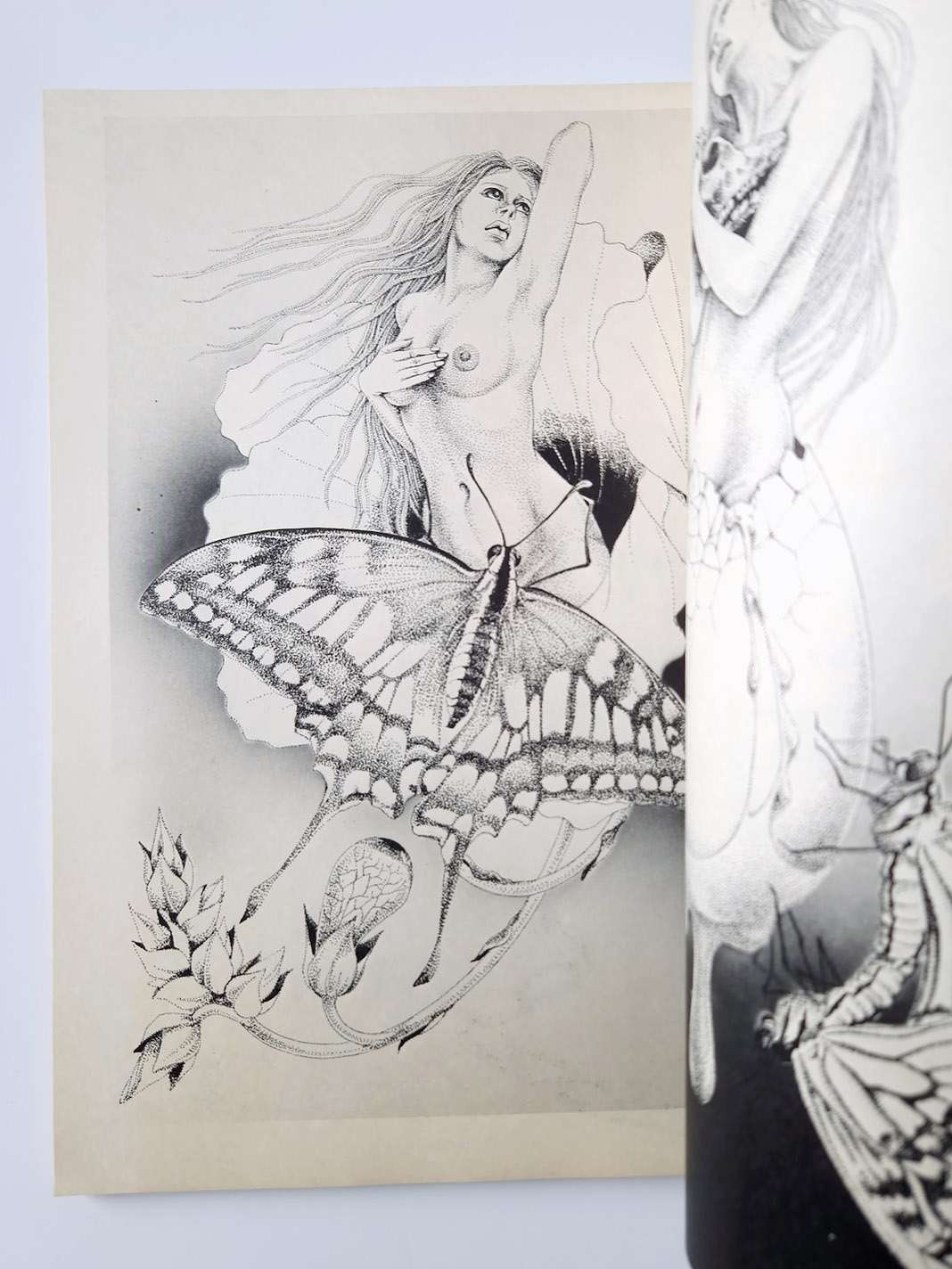 Ladies fantasy Kaname OZUMA censored WB 4