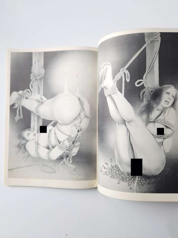 Ladies fantasy Kaname OZUMA censored WB 6