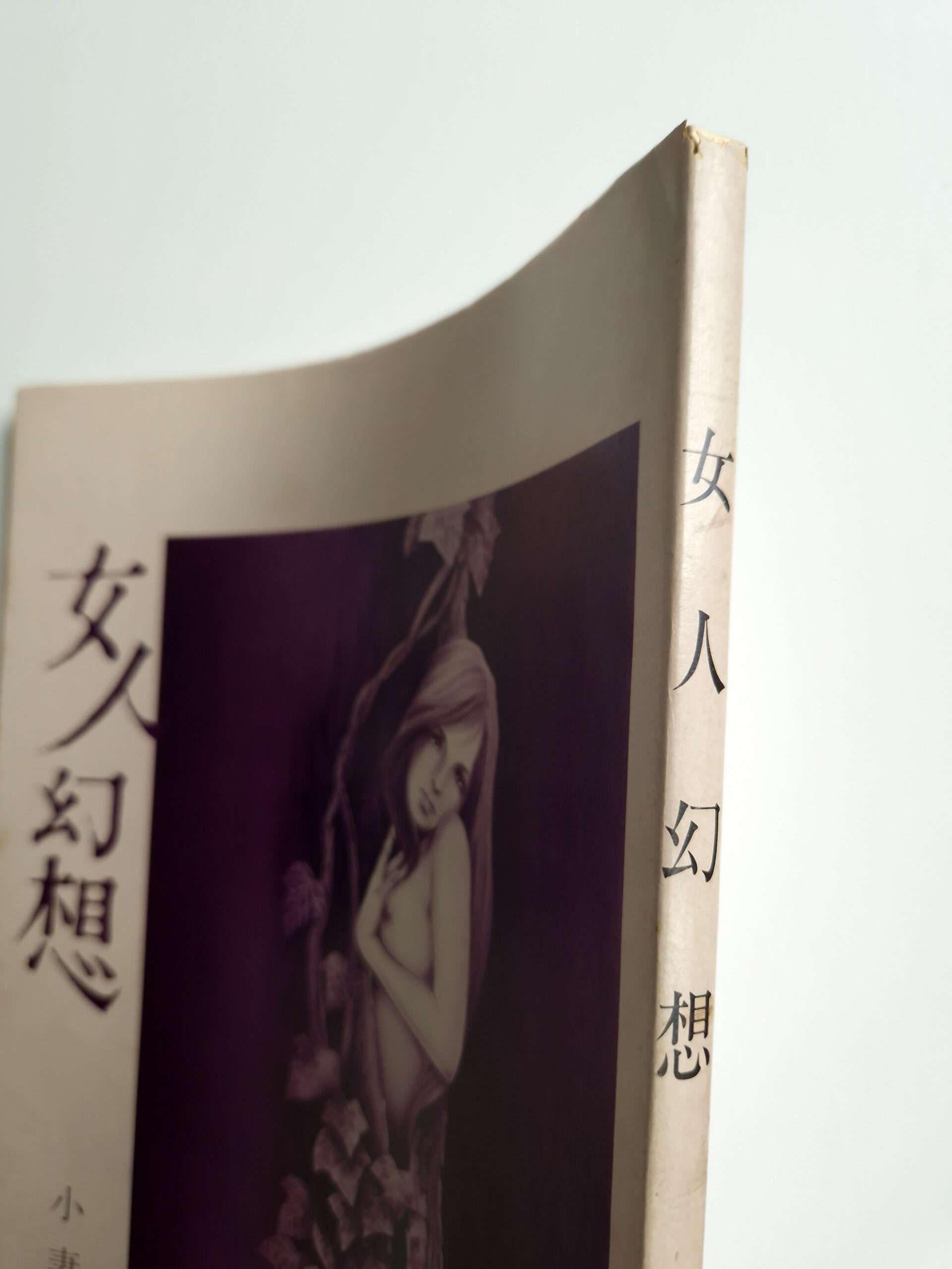 Ladies fantasy Kaname OZUMA 17