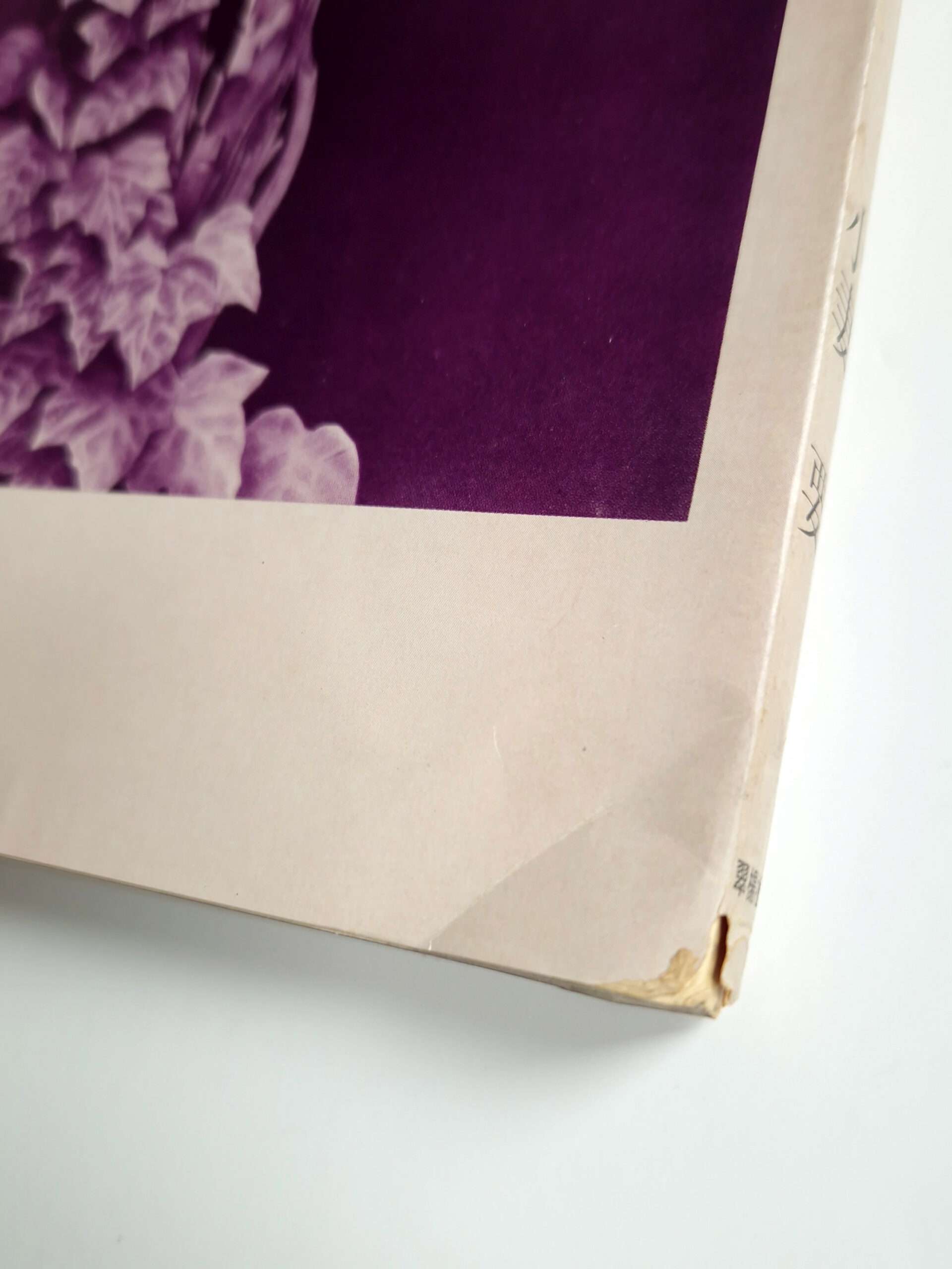 Ladies fantasy Kaname OZUMA corner