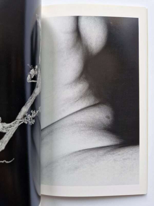 Erotos The work of Nobuyoshi Araki 16 10