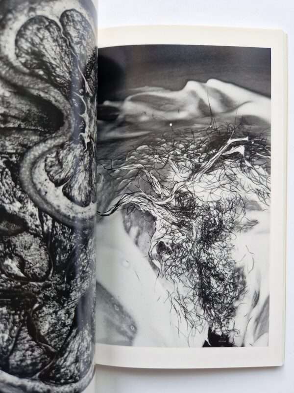 Erotos The work of Nobuyoshi Araki 16 12