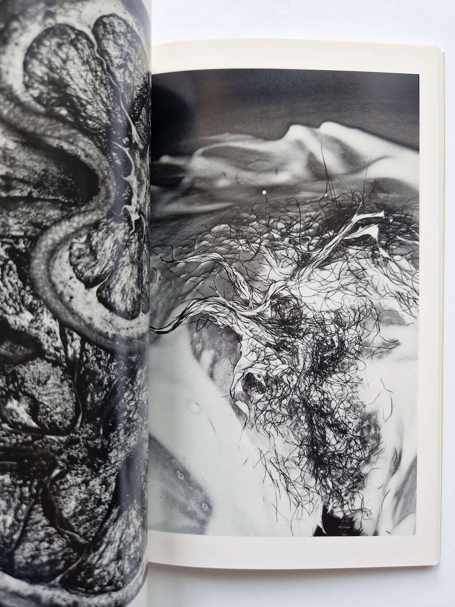 Erotos The work of Nobuyoshi Araki 16 12 Erotos The work of Nobuyoshi Araki 16 12